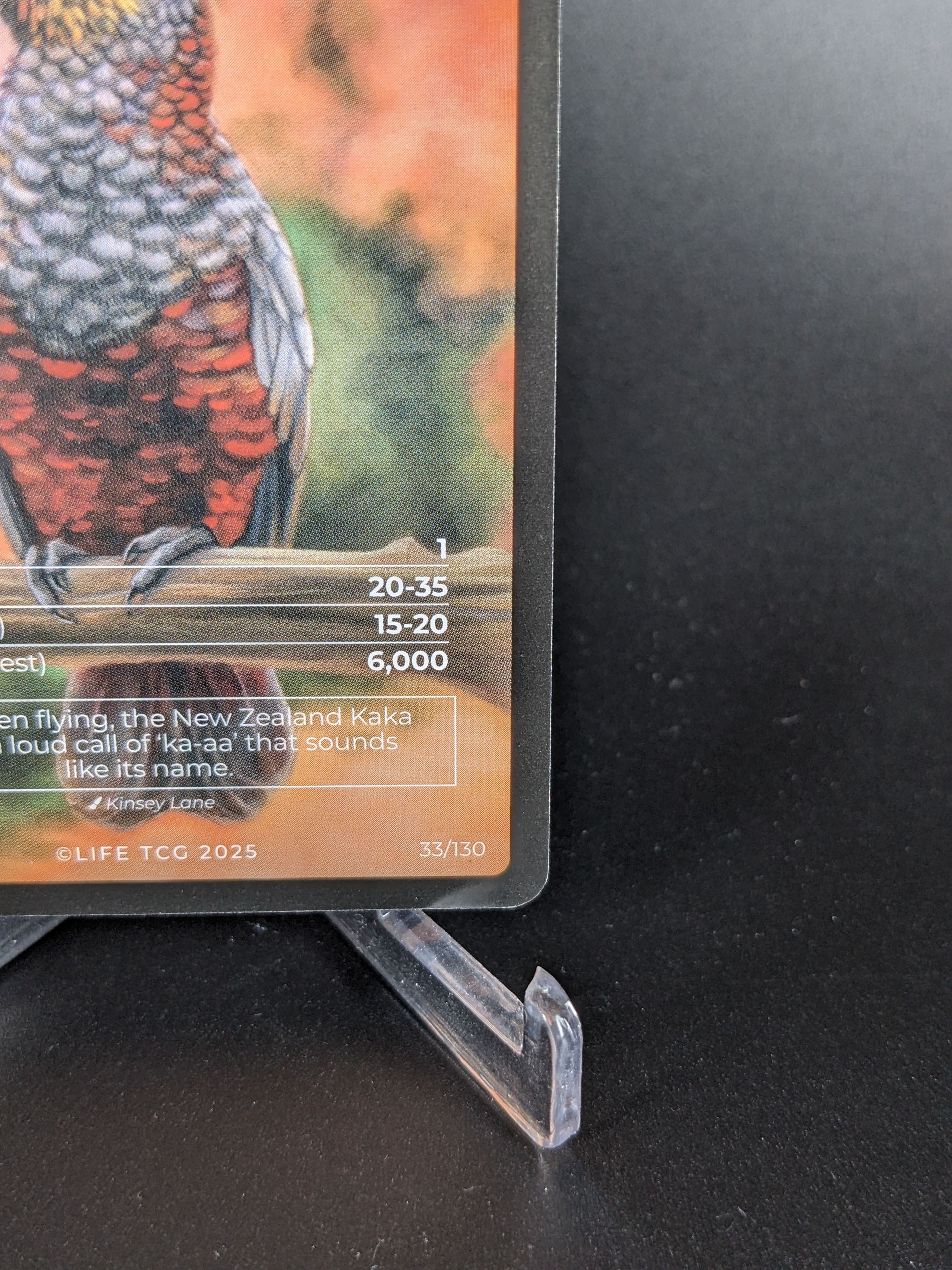 New Zealand Kaka — Birds Full Art #33/130 | LIFE TCG | 1st Edition (Pop: 600)