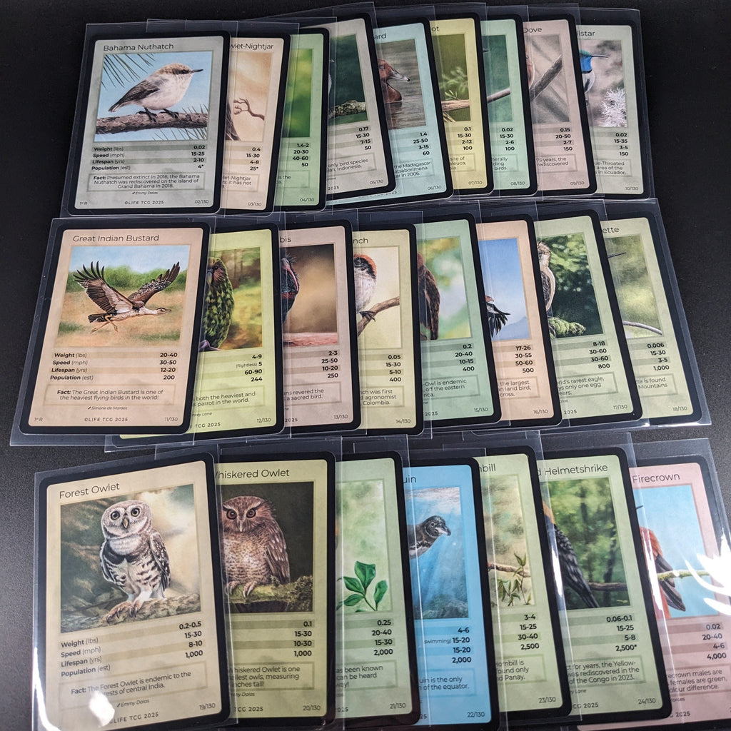 LIFE TCG 1st Edition Birds Rare Lot — 24 Cards | All High Pop (4,000–5,000 printed)