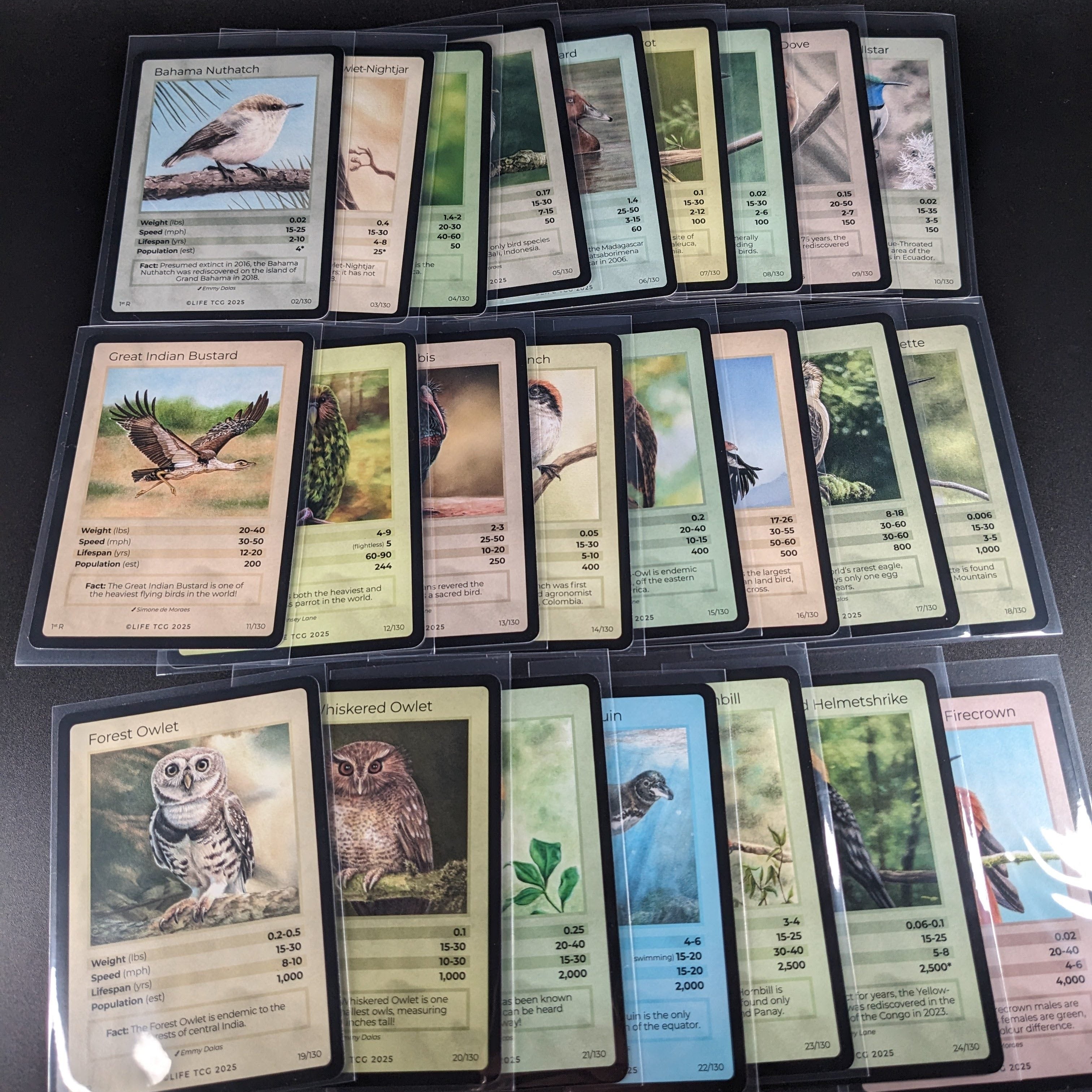 LIFE TCG 1st Edition Birds Rare Lot — 24 Cards | All High Pop (4,000–5,000 printed)