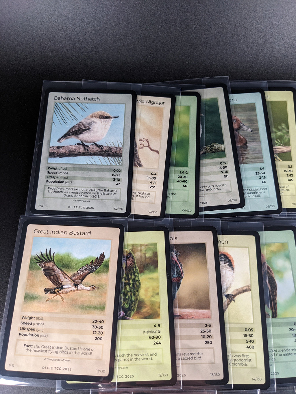 LIFE TCG 1st Edition Birds Rare Lot — 24 Cards | All High Pop (4,000–5,000 printed)