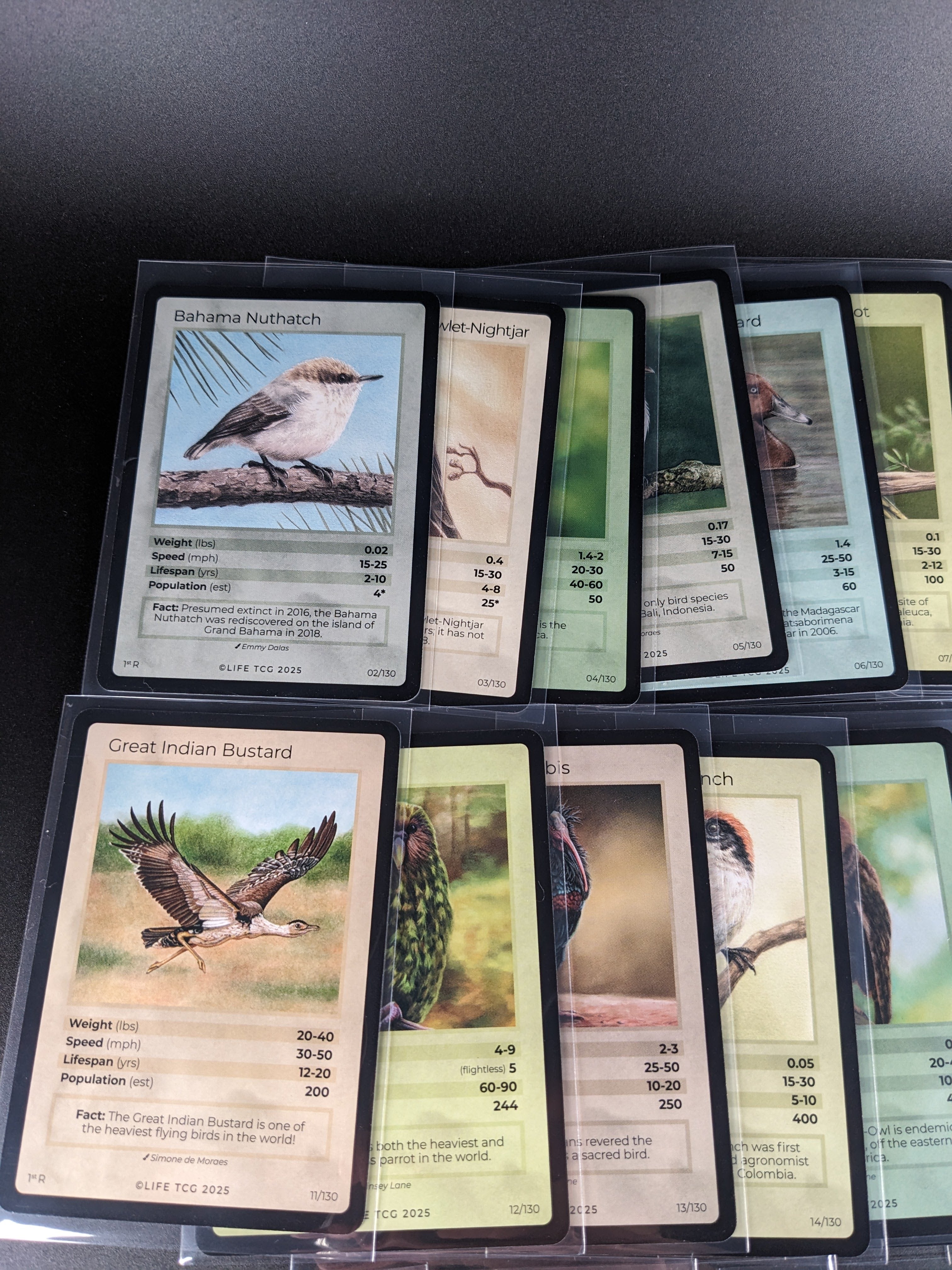 LIFE TCG 1st Edition Birds Rare Lot — 24 Cards | All High Pop (4,000–5,000 printed)
