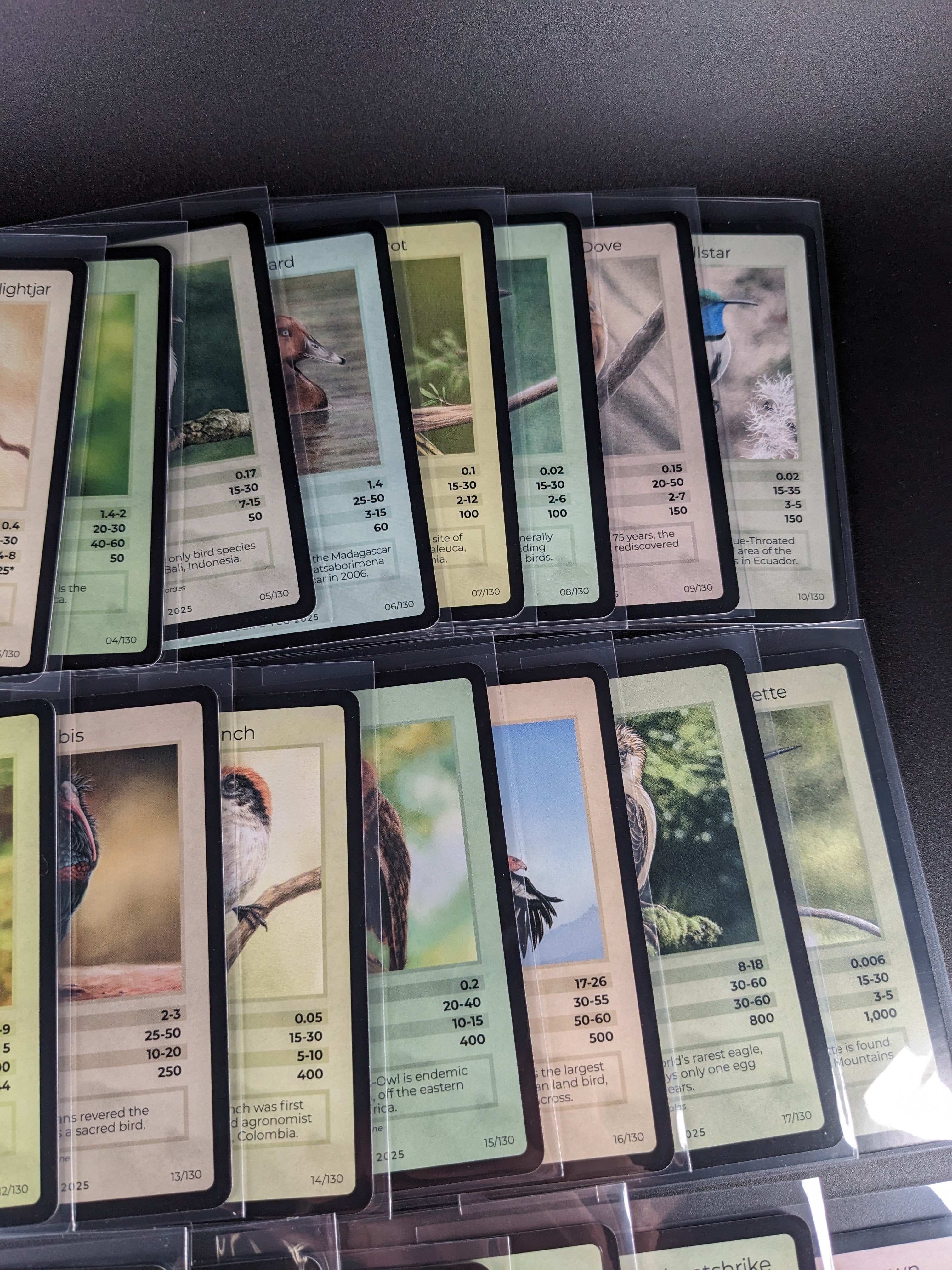 LIFE TCG 1st Edition Birds Rare Lot — 24 Cards | All High Pop (4,000–5,000 printed)