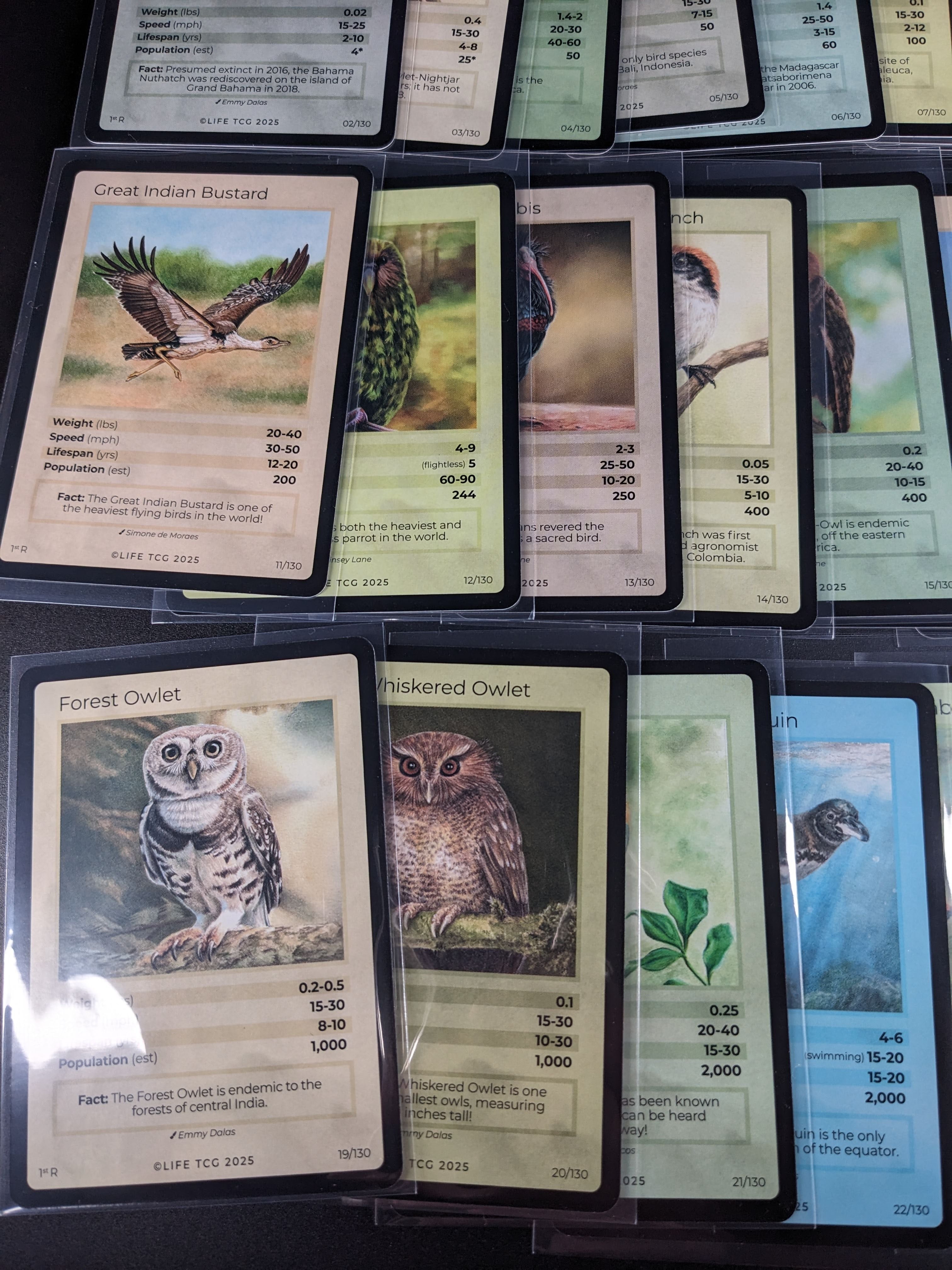 LIFE TCG 1st Edition Birds Rare Lot — 24 Cards | All High Pop (4,000–5,000 printed)