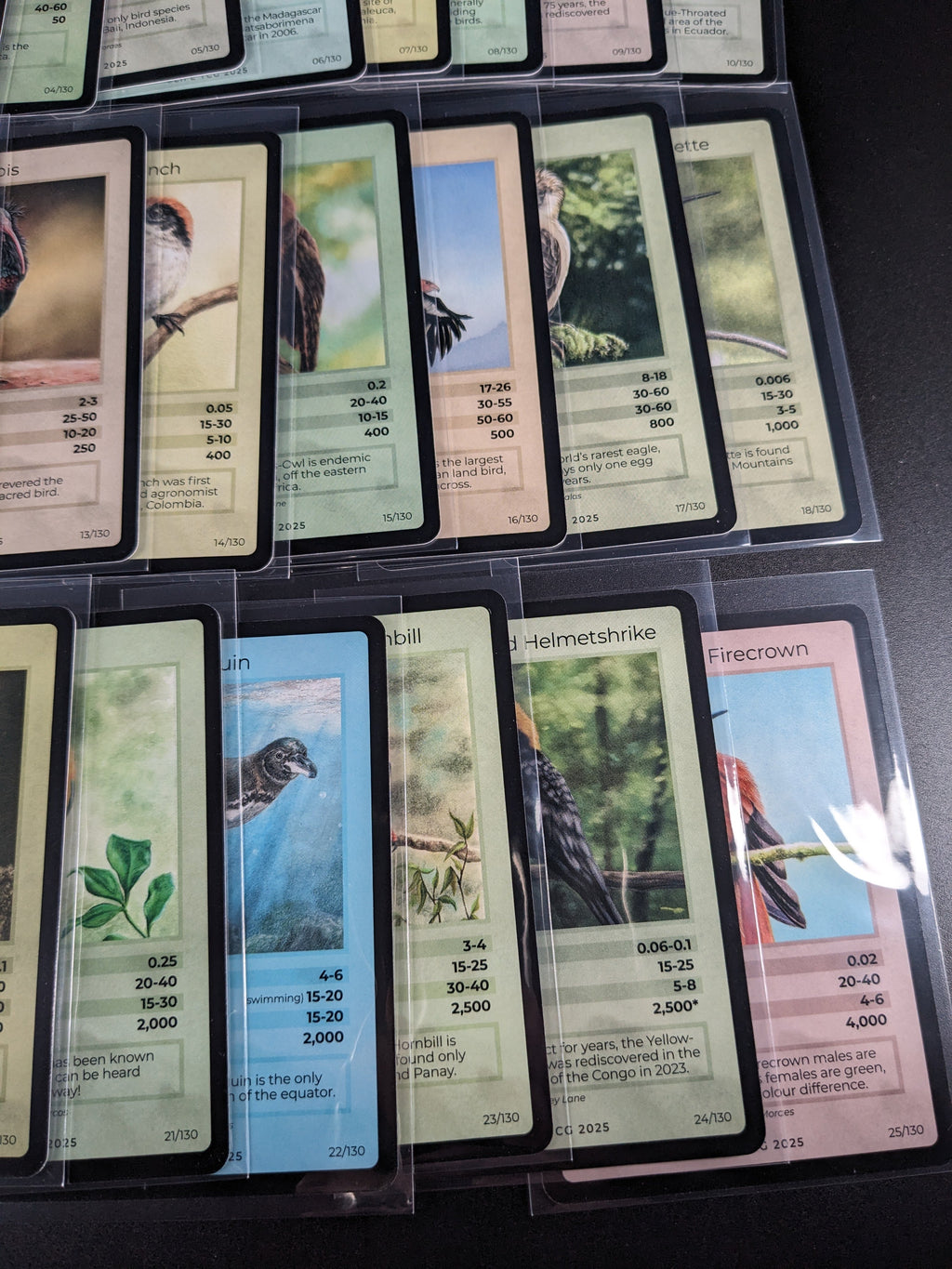 LIFE TCG 1st Edition Birds Rare Lot — 24 Cards | All High Pop (4,000–5,000 printed)