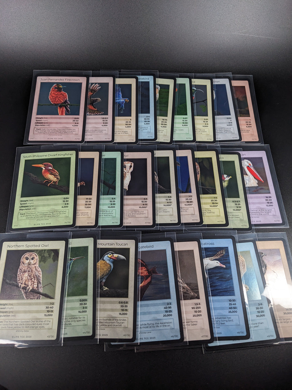 LIFE TCG 1st Edition Birds Holo Lot — 26 Cards | All High Pop (4,000+ printed)