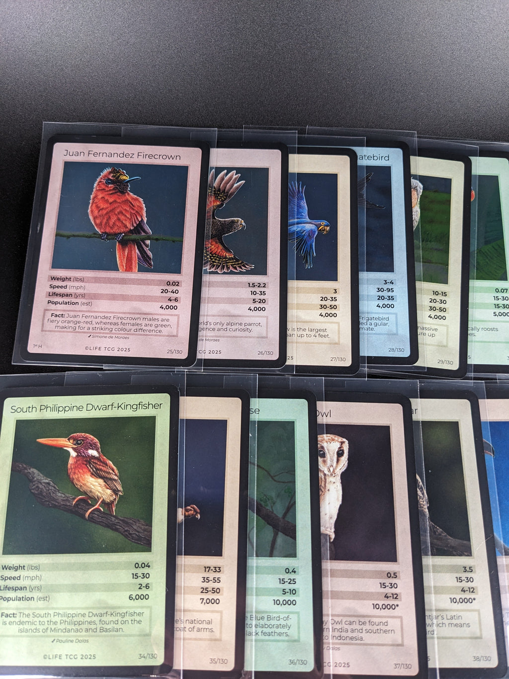 LIFE TCG 1st Edition Birds Holo Lot — 26 Cards | All High Pop (4,000+ printed)