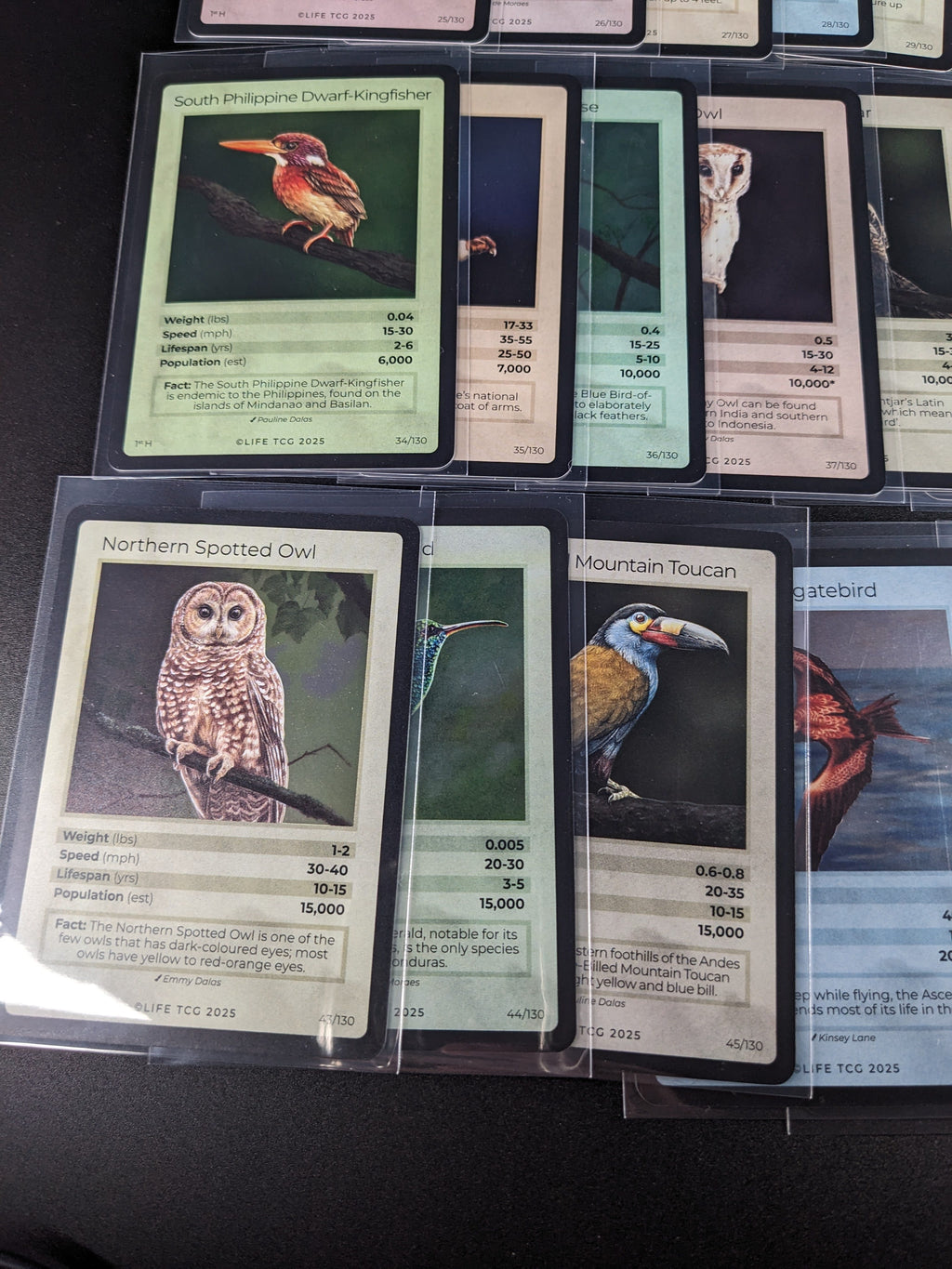 LIFE TCG 1st Edition Birds Holo Lot — 26 Cards | All High Pop (4,000+ printed)