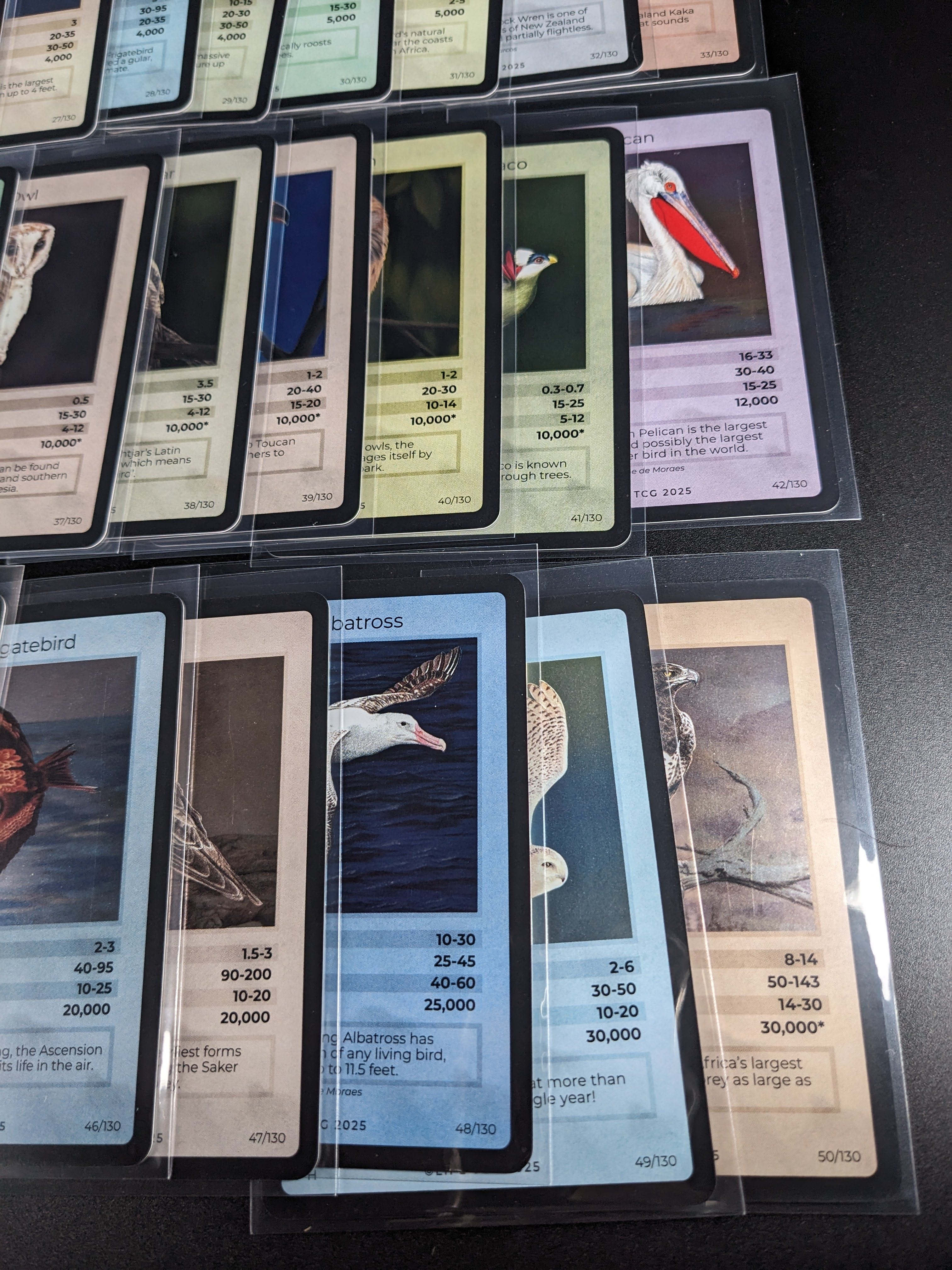 LIFE TCG 1st Edition Birds Holo Lot — 26 Cards | All High Pop (4,000+ printed)