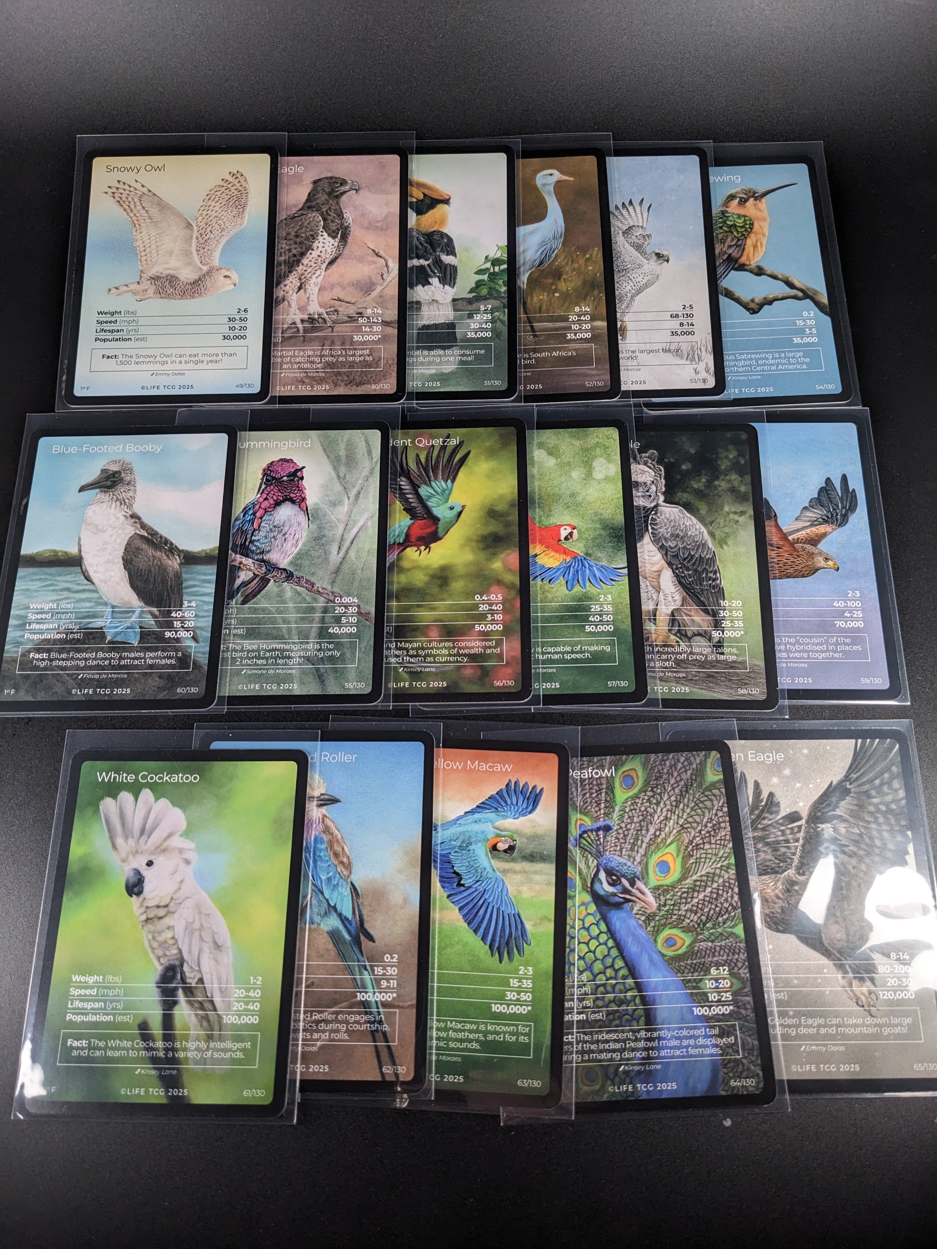 LIFE TCG 1st Edition Birds Full Art Lot — 17 Cards | All High Pop (3,000+ printed)