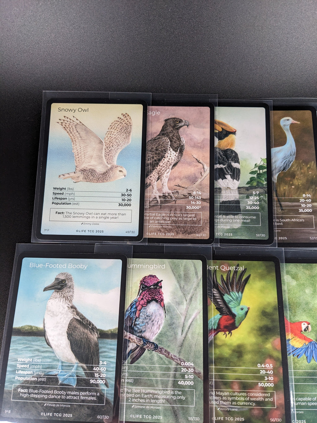 LIFE TCG 1st Edition Birds Full Art Lot — 17 Cards | All High Pop (3,000+ printed)