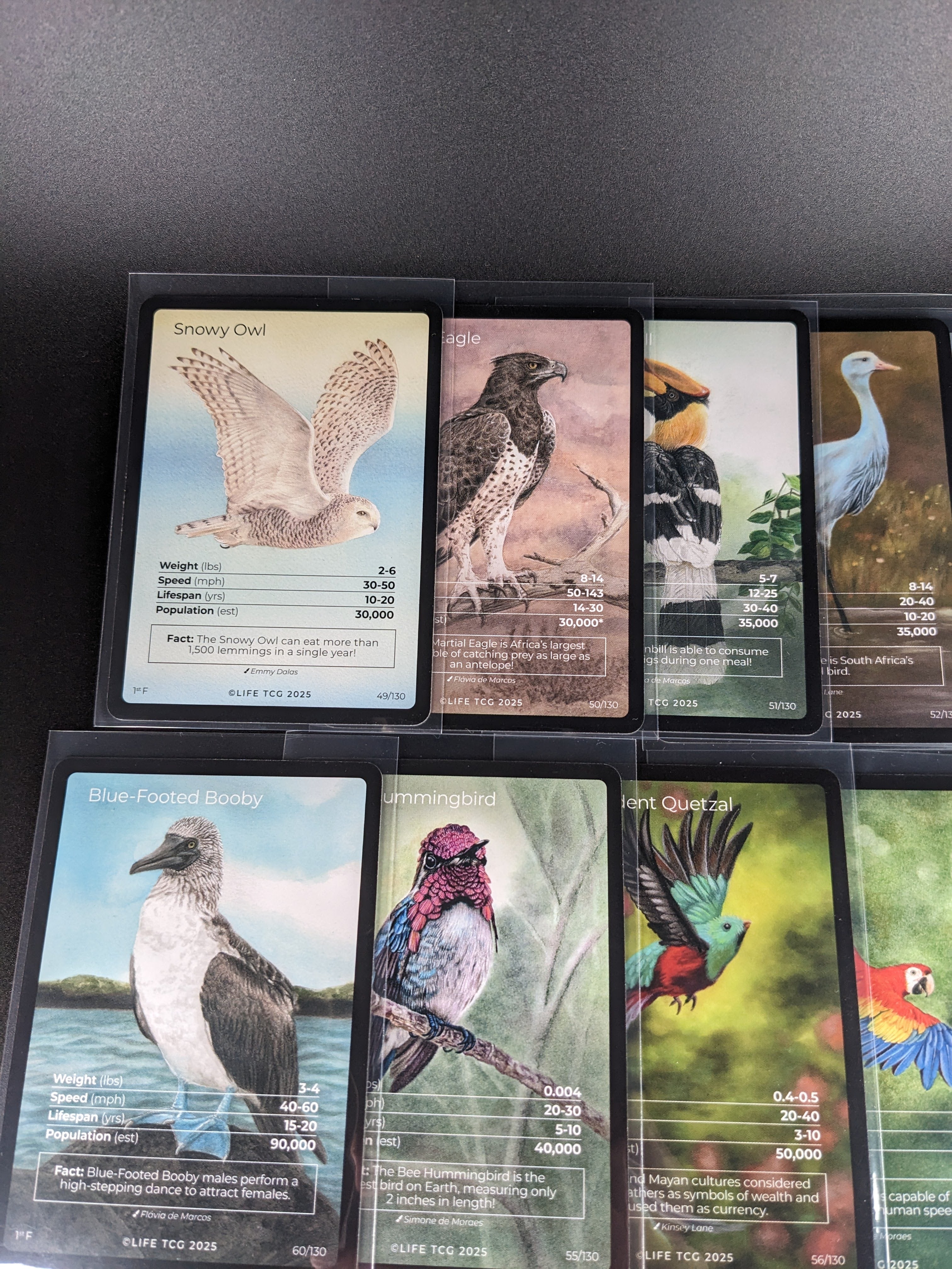 LIFE TCG 1st Edition Birds Full Art Lot — 17 Cards | All High Pop (3,000+ printed)
