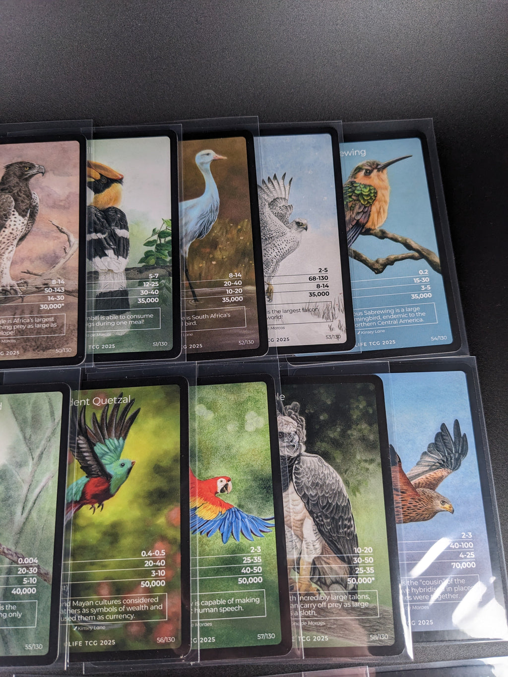 LIFE TCG 1st Edition Birds Full Art Lot — 17 Cards | All High Pop (3,000+ printed)