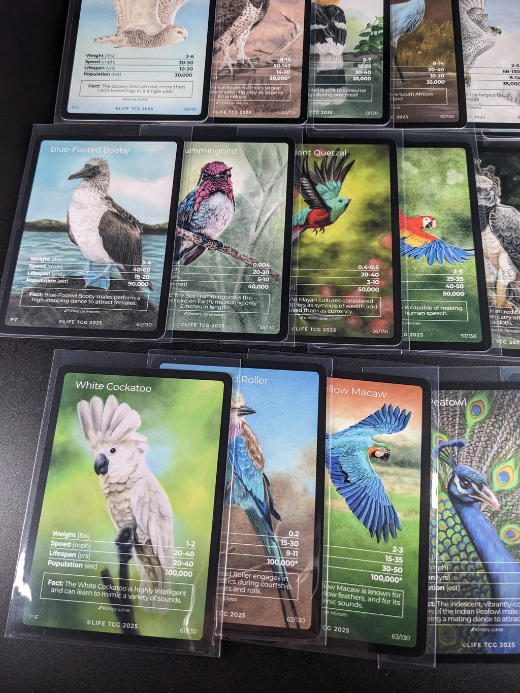 LIFE TCG 1st Edition Birds Full Art Lot — 17 Cards | All High Pop (3,000+ printed)