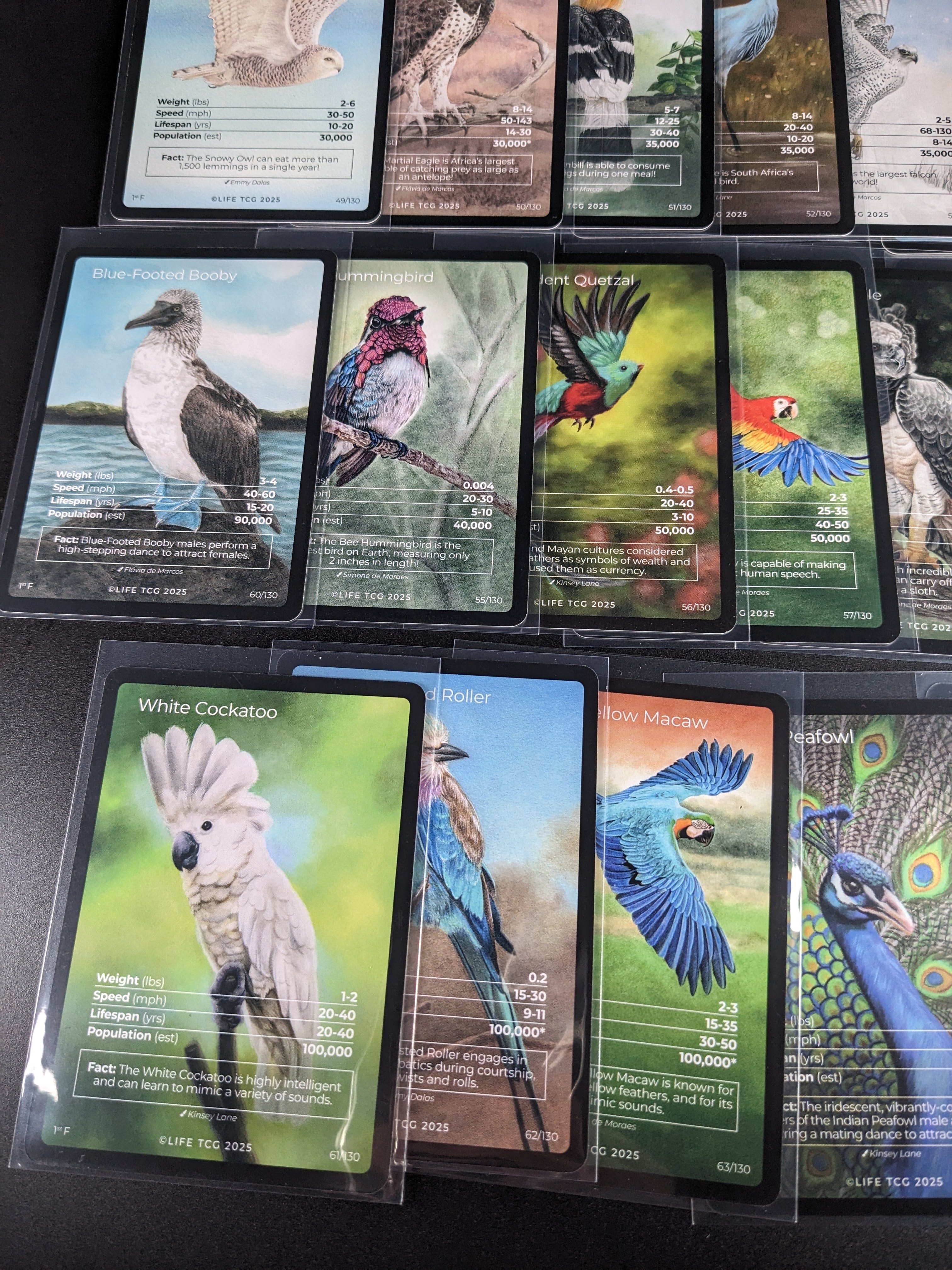 LIFE TCG 1st Edition Birds Full Art Lot — 17 Cards | All High Pop (3,000+ printed)