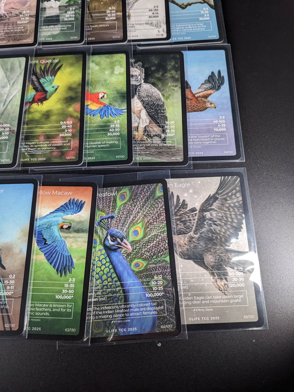 LIFE TCG 1st Edition Birds Full Art Lot — 17 Cards | All High Pop (3,000+ printed)