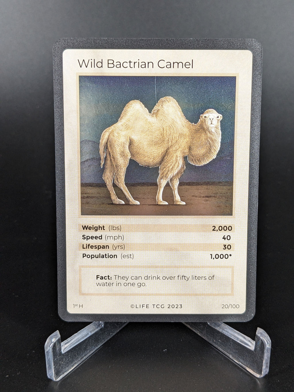 Wild Bactrian Camel — Mammals Holo #20/100 | LIFE TCG | 1st Edition (Pop: 1,000)