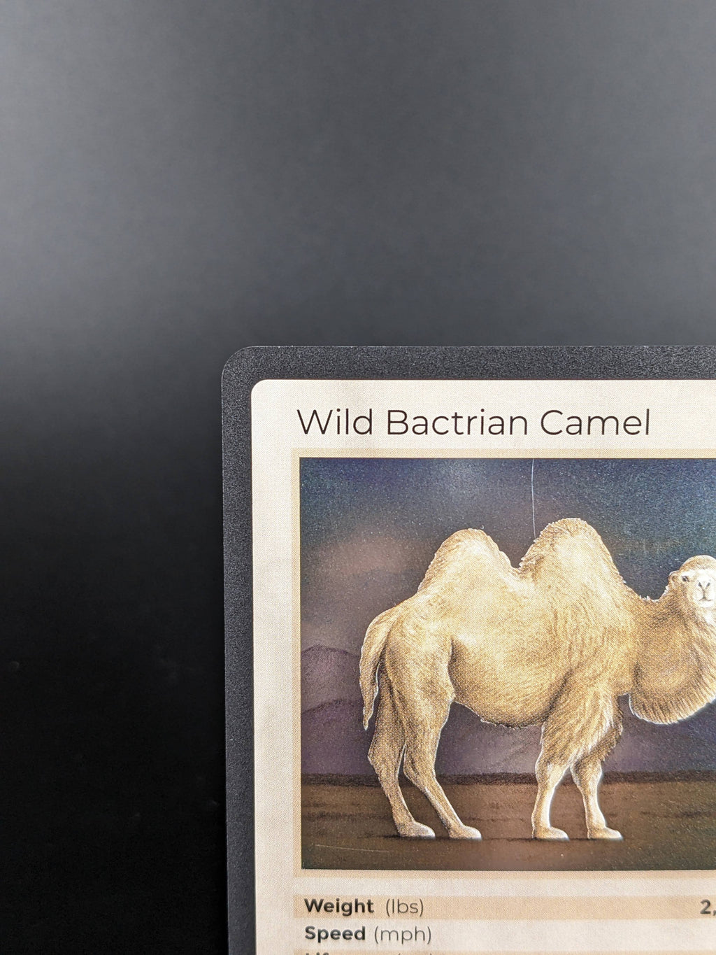 Wild Bactrian Camel — Mammals Holo #20/100 | LIFE TCG | 1st Edition (Pop: 1,000)