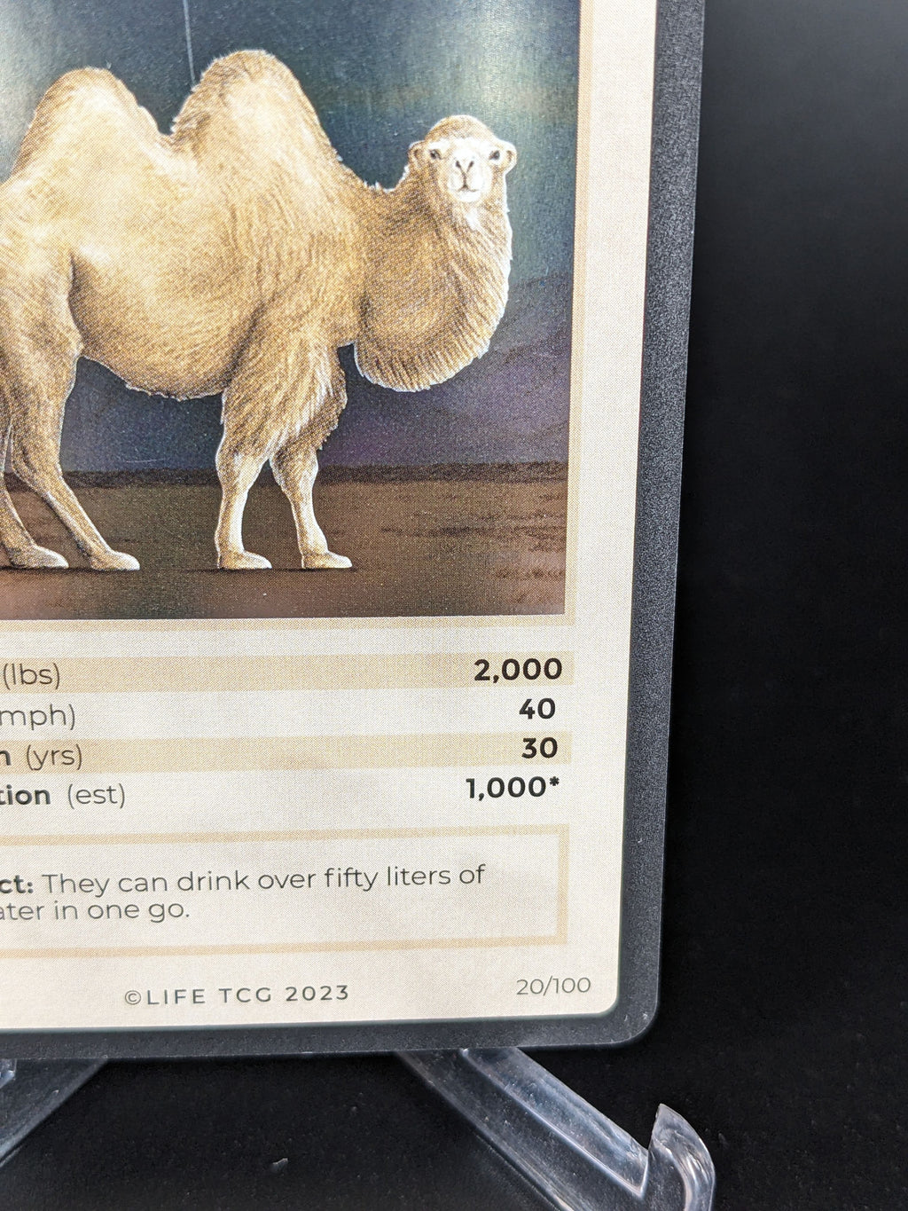 Wild Bactrian Camel — Mammals Holo #20/100 | LIFE TCG | 1st Edition (Pop: 1,000)