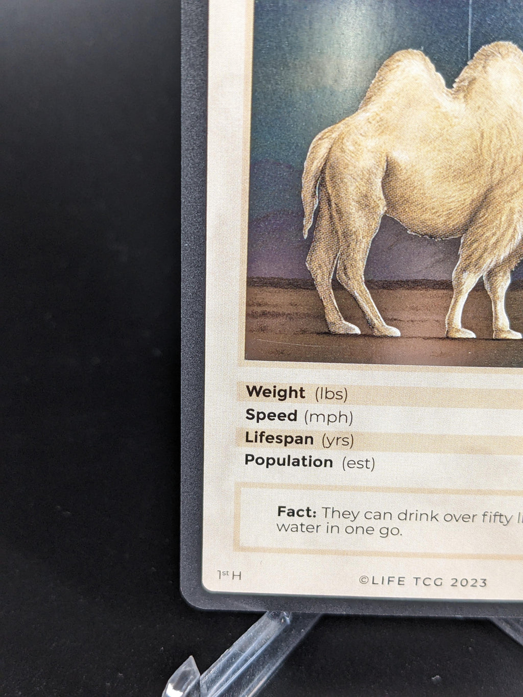 Wild Bactrian Camel — Mammals Holo #20/100 | LIFE TCG | 1st Edition (Pop: 1,000)