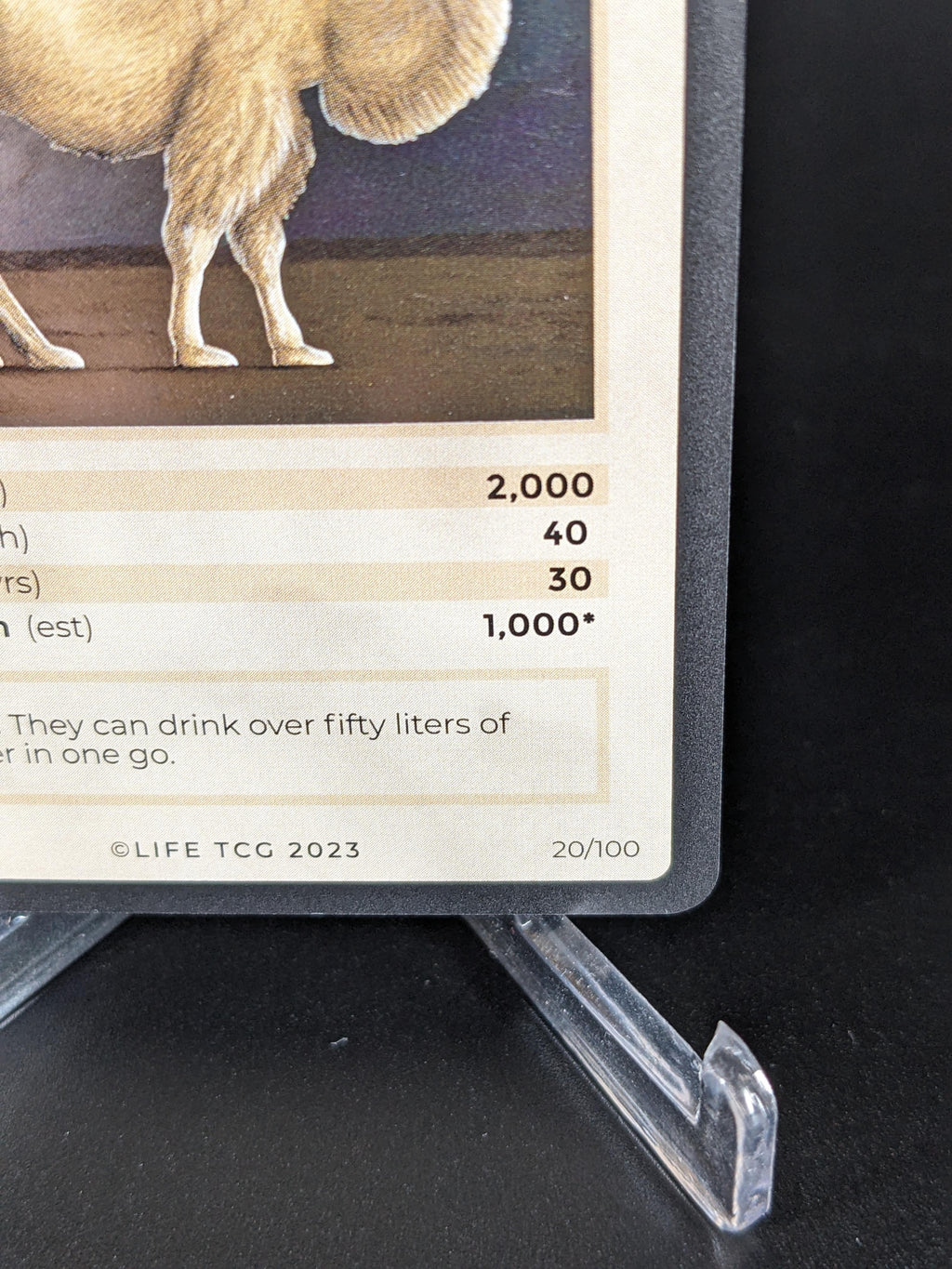 Wild Bactrian Camel — Mammals Holo #20/100 | LIFE TCG | 1st Edition (Pop: 1,000)
