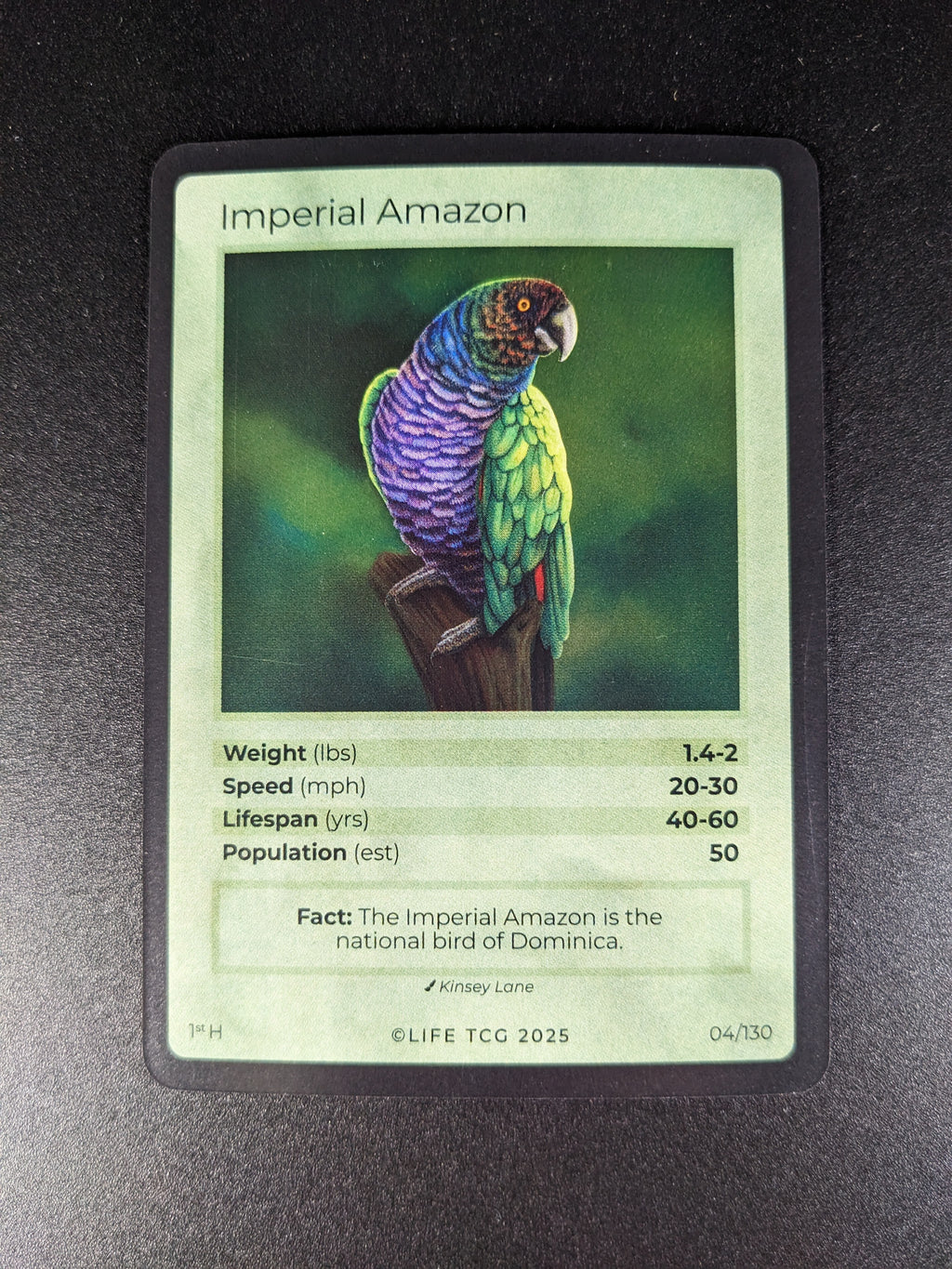 Imperial Amazon — Birds Holo #4/130 | LIFE TCG | 1st Edition (Pop: 50)