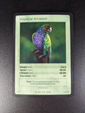 Imperial Amazon — Birds Holo #4/130 | LIFE TCG | 1st Edition (Pop: 50)