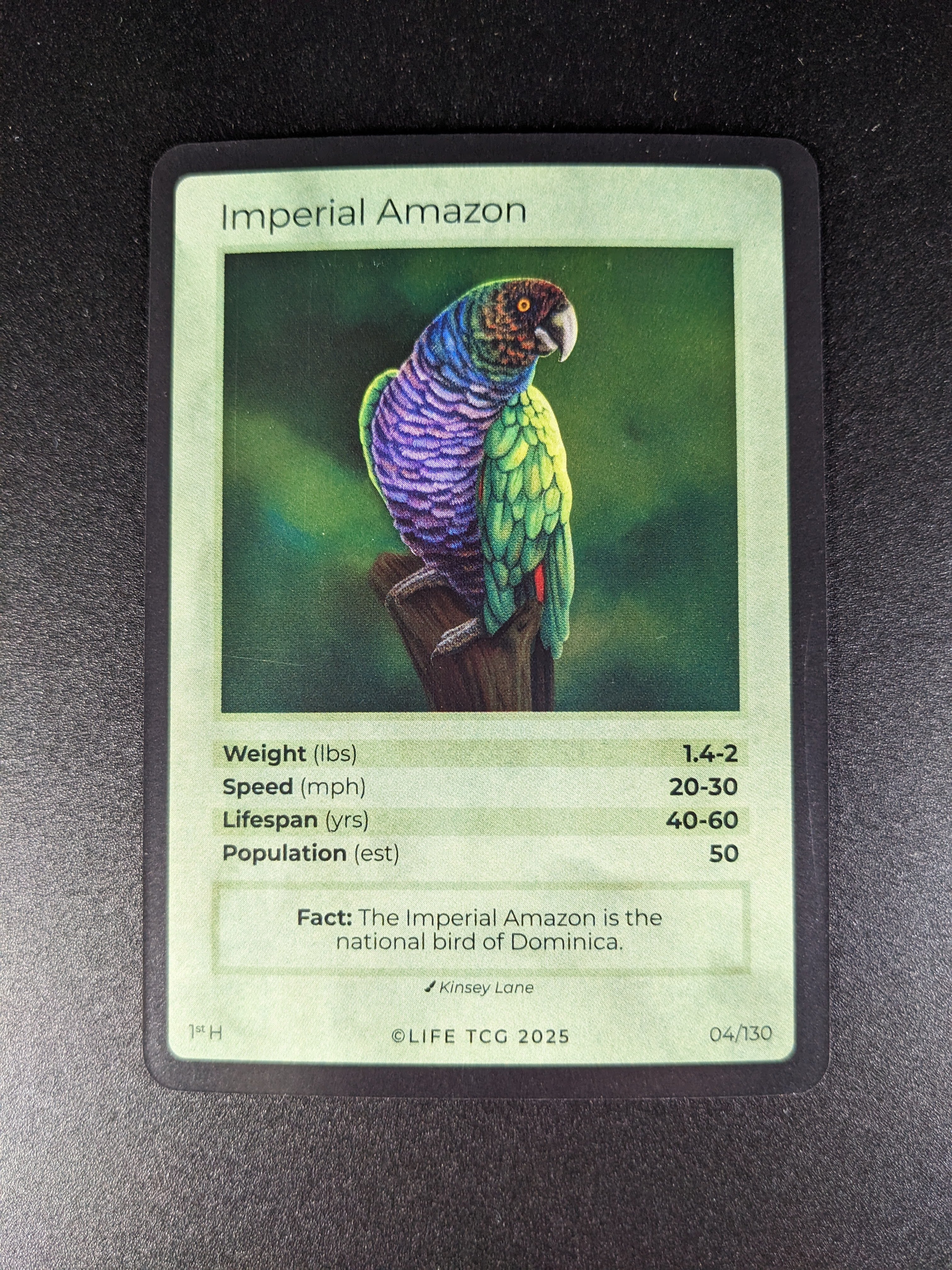 Imperial Amazon — Birds Holo #4/130 | LIFE TCG | 1st Edition (Pop: 50)