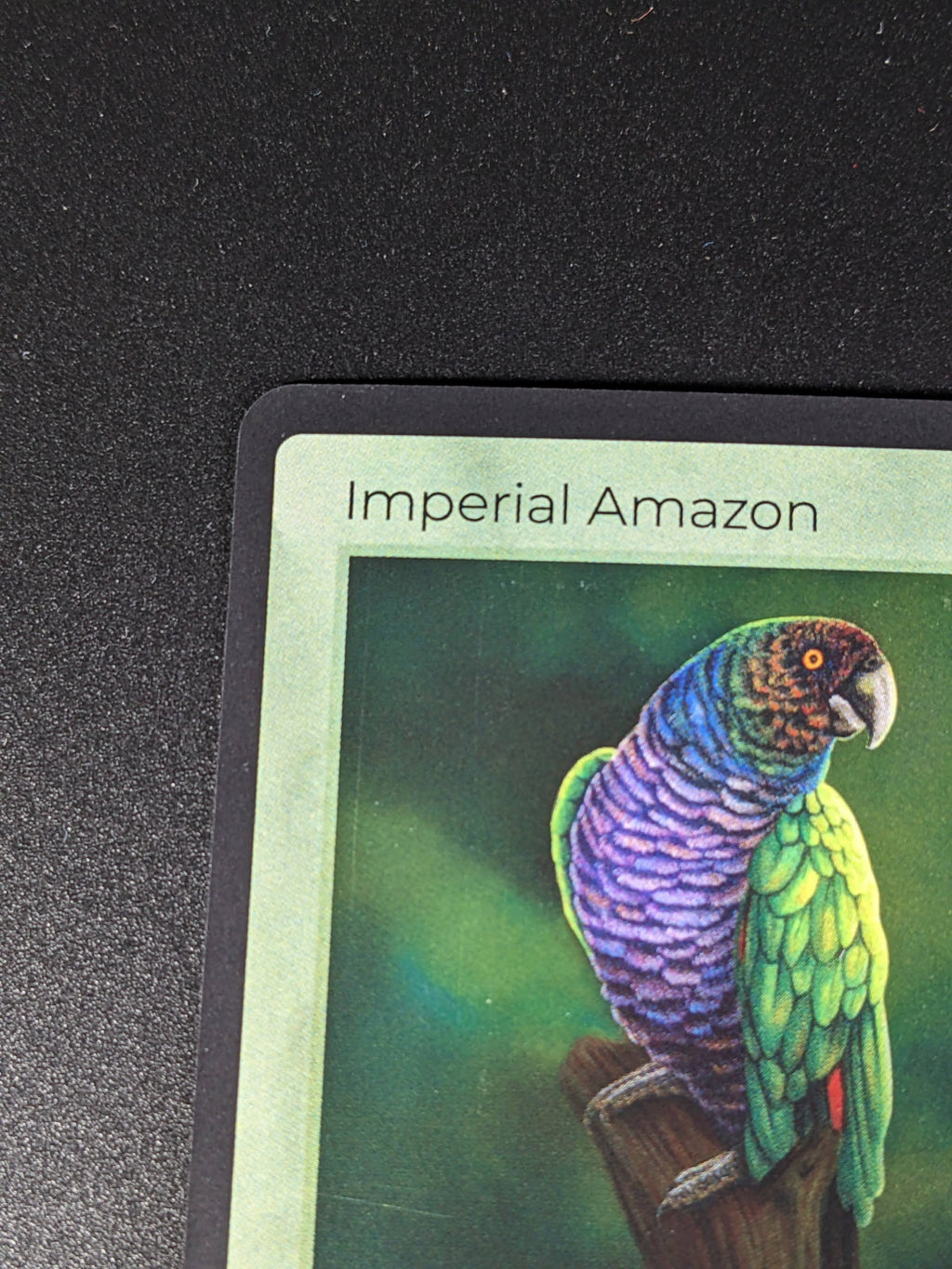 Imperial Amazon — Birds Holo #4/130 | LIFE TCG | 1st Edition (Pop: 50)