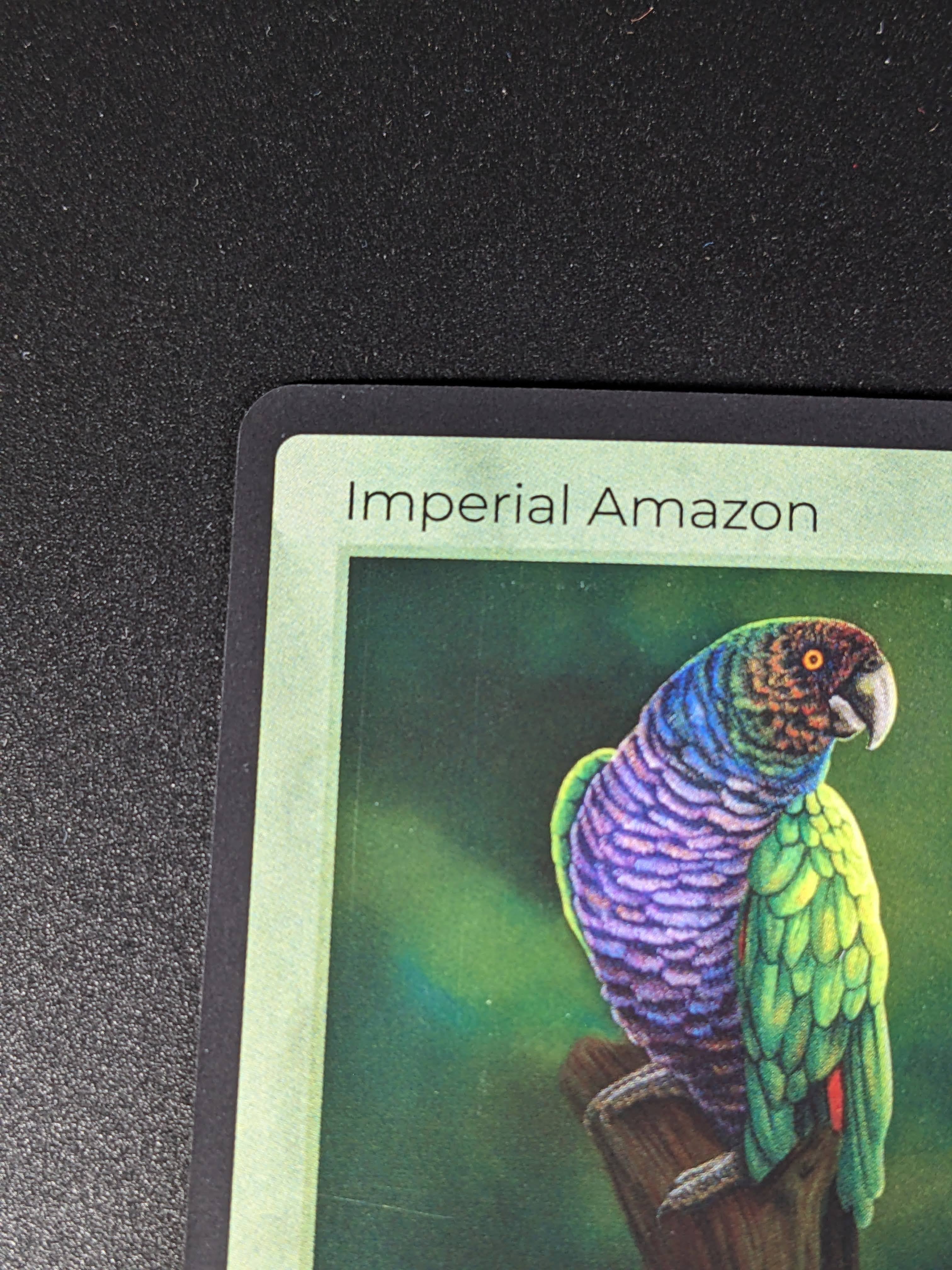 Imperial Amazon — Birds Holo #4/130 | LIFE TCG | 1st Edition (Pop: 50)