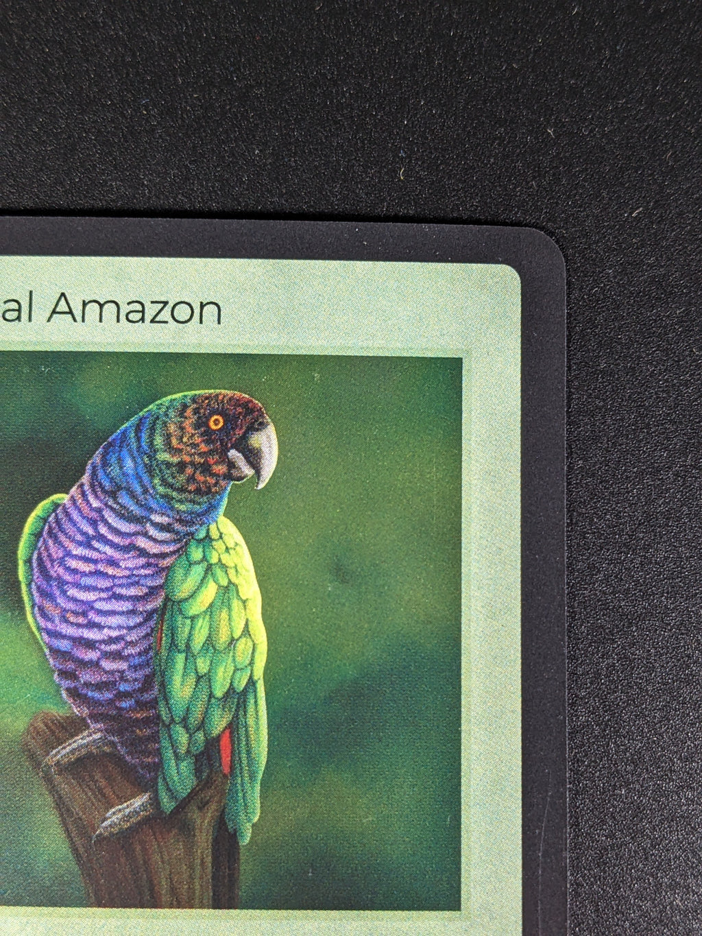Imperial Amazon — Birds Holo #4/130 | LIFE TCG | 1st Edition (Pop: 50)