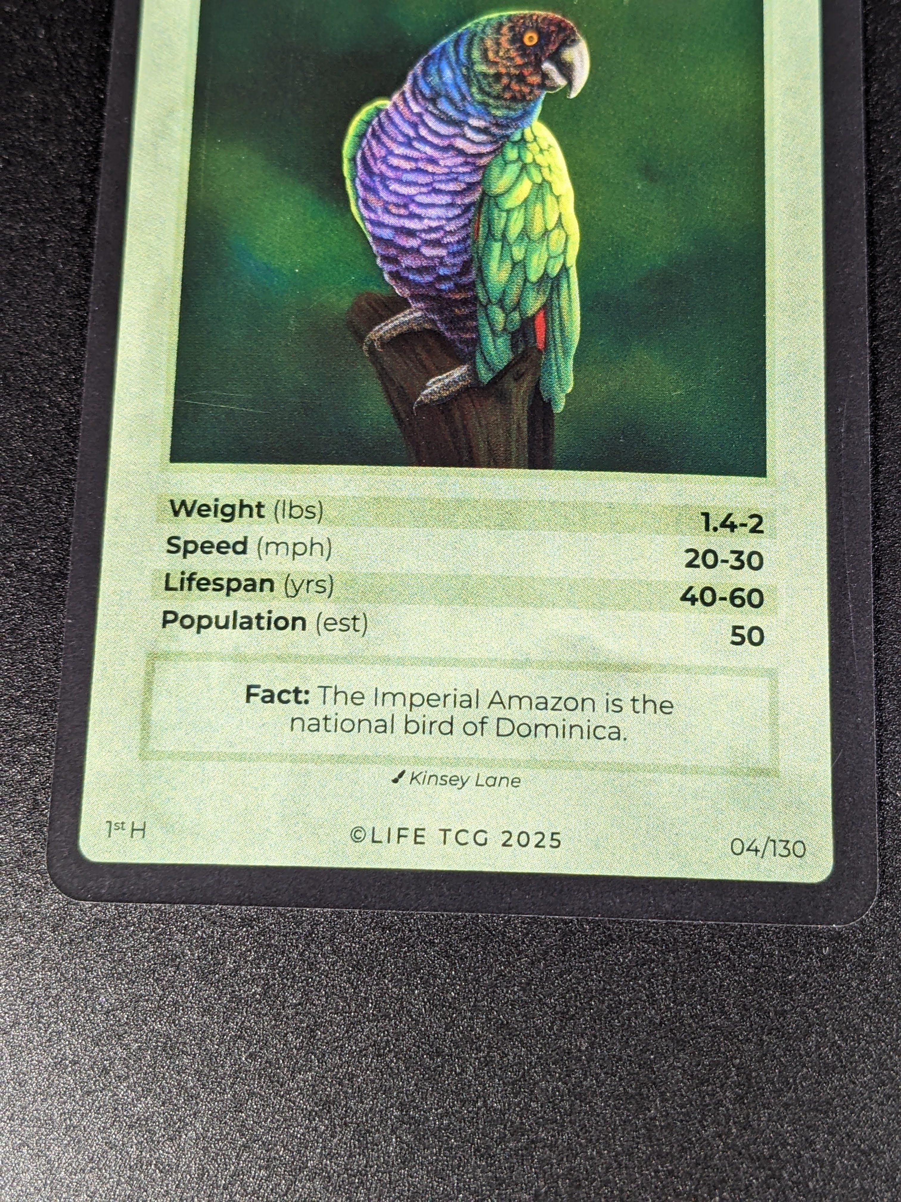 Imperial Amazon — Birds Holo #4/130 | LIFE TCG | 1st Edition (Pop: 50)
