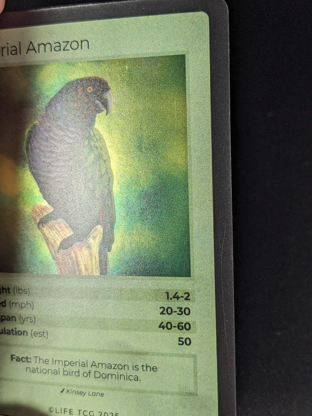Imperial Amazon — Birds Holo #4/130 | LIFE TCG | 1st Edition (Pop: 50)
