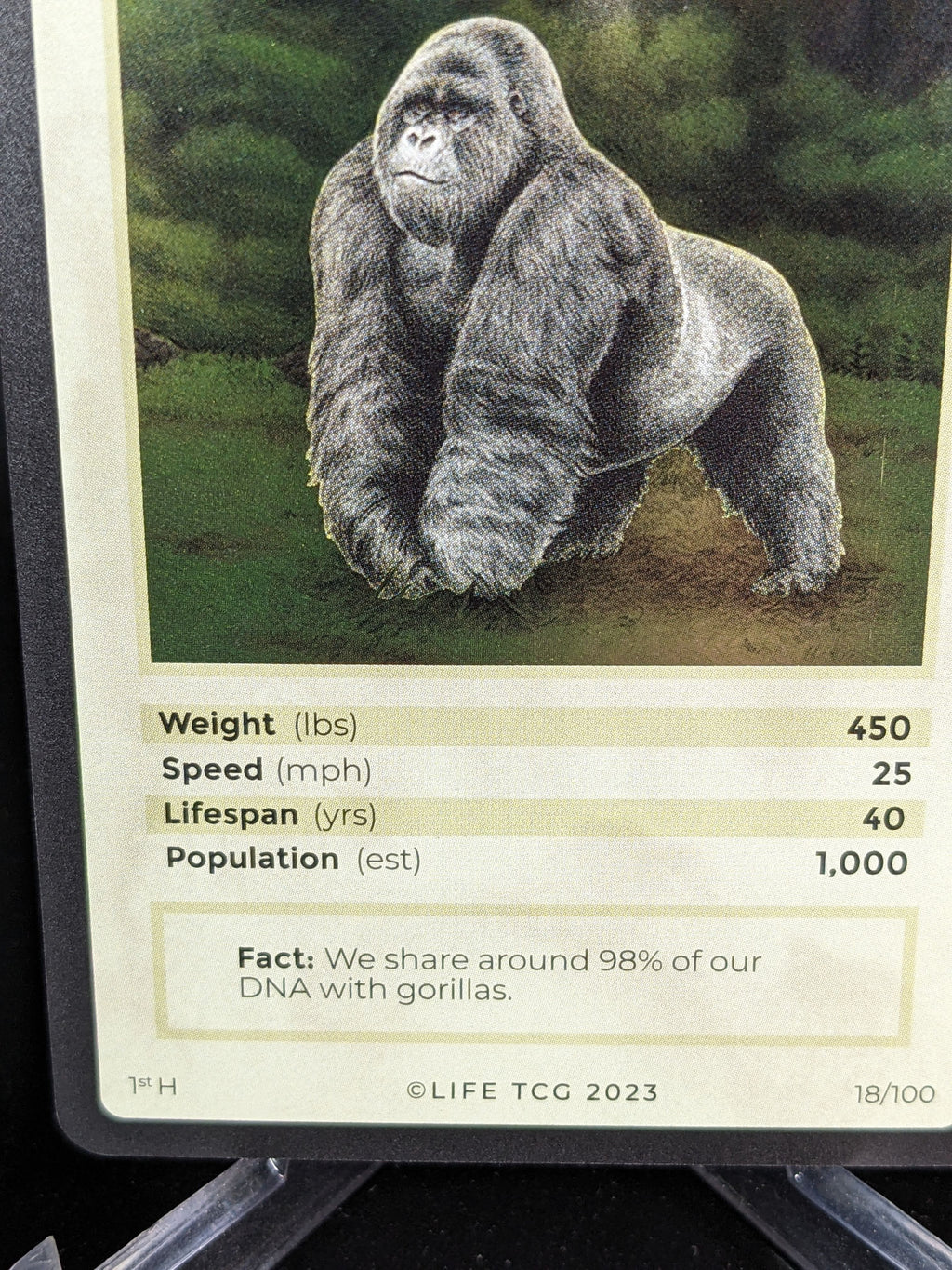 Mountain Gorilla — Mammals Holo #18/100 | LIFE TCG | 1st Edition (Pop: 1,000)