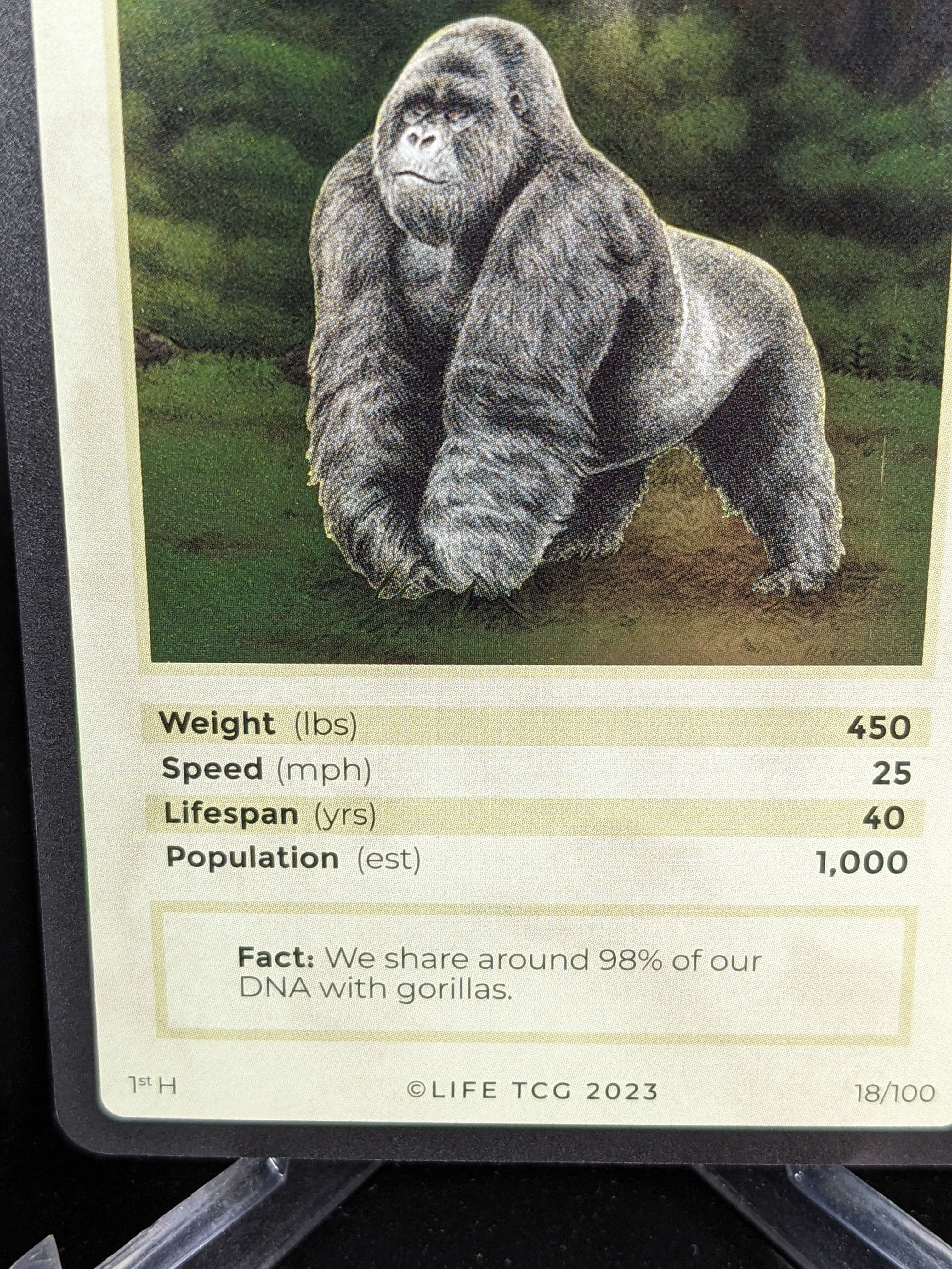 Mountain Gorilla — Mammals Holo #18/100 | LIFE TCG | 1st Edition (Pop: 1,000)