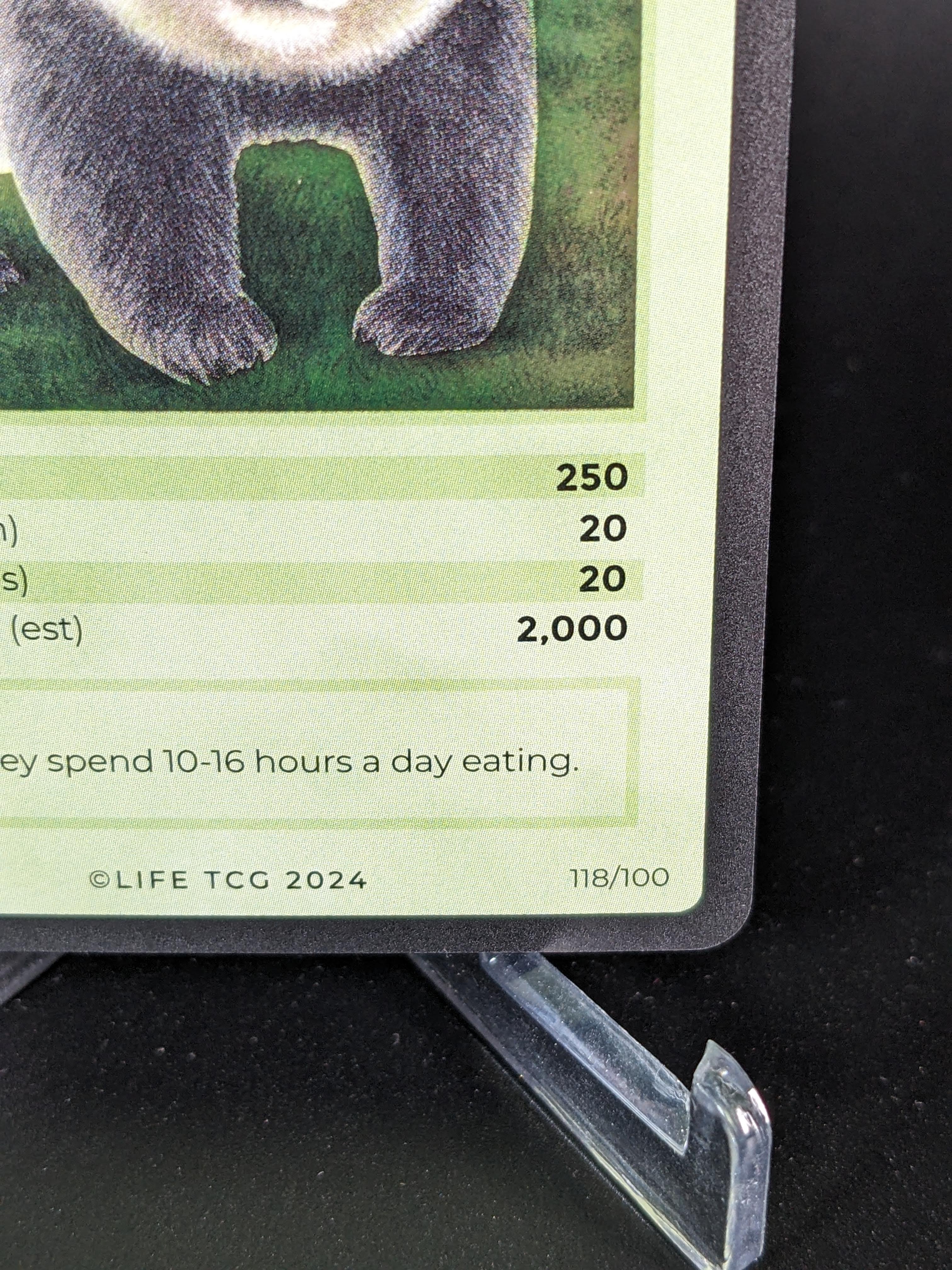 Giant Panda — Mammals Holo #118/100 | LIFE TCG | 1st Edition