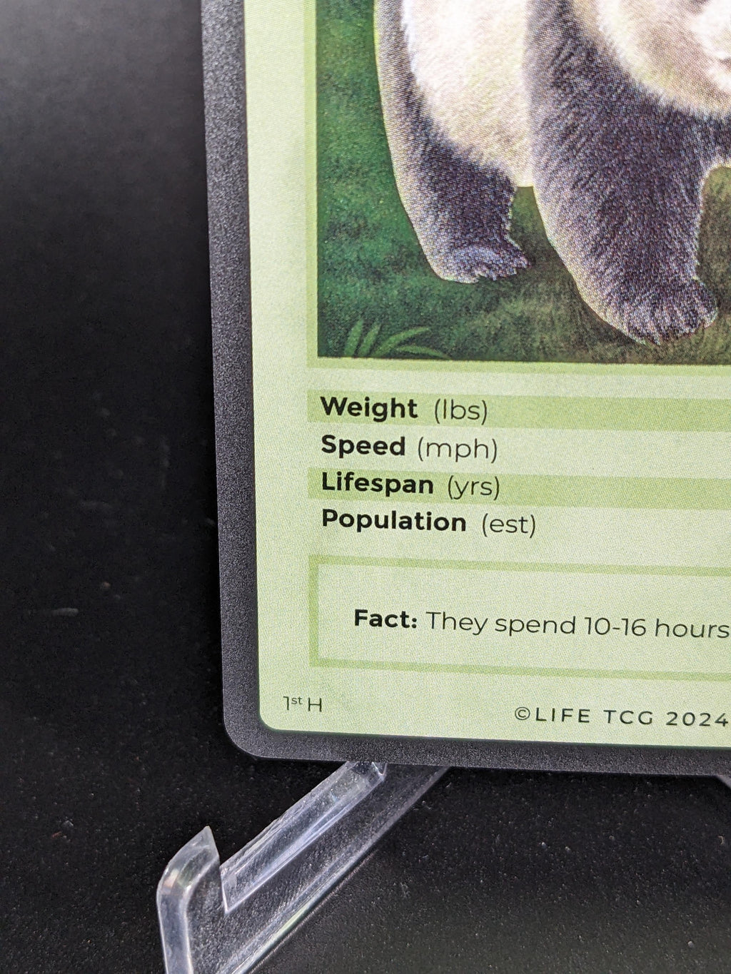 Giant Panda — Mammals Holo #118/100 | LIFE TCG | 1st Edition