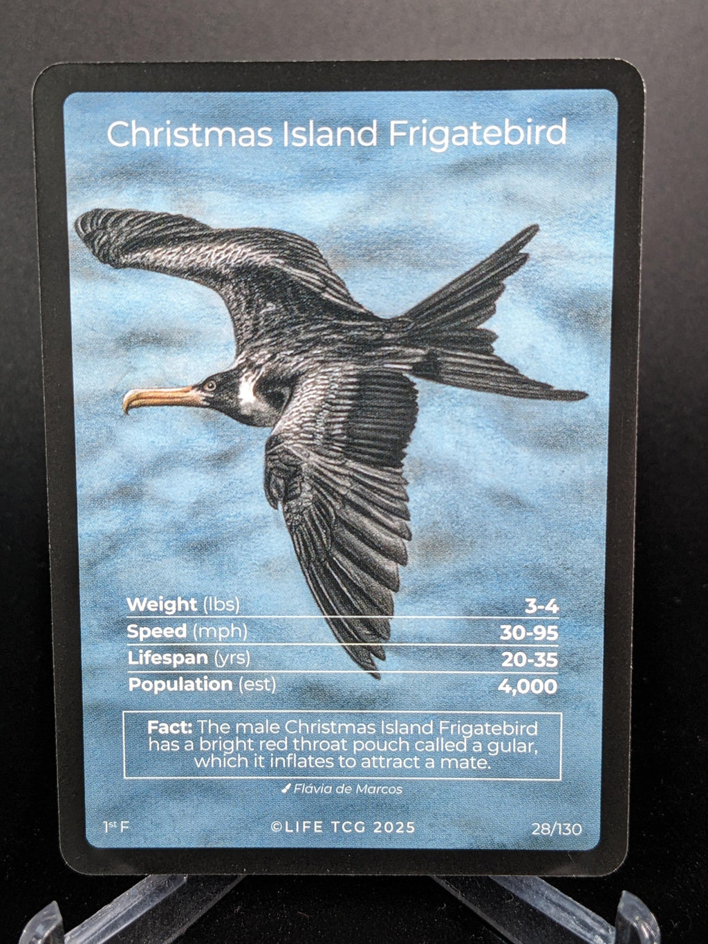 Christmas Island Frigatebird — Birds Full Art #28/130 | LIFE TCG | 1st Edition (Pop: 400)