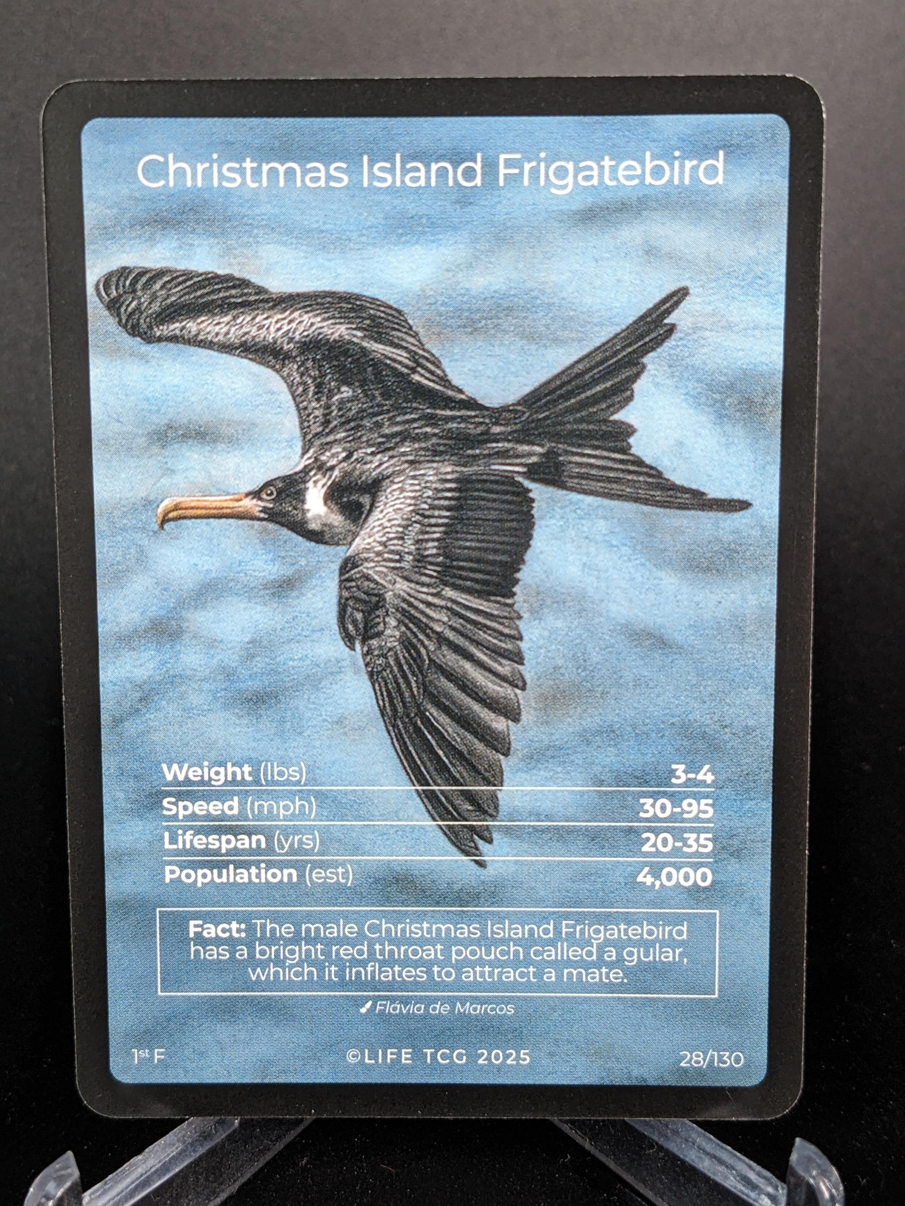 Christmas Island Frigatebird — Birds Full Art #28/130 | LIFE TCG | 1st Edition (Pop: 400)