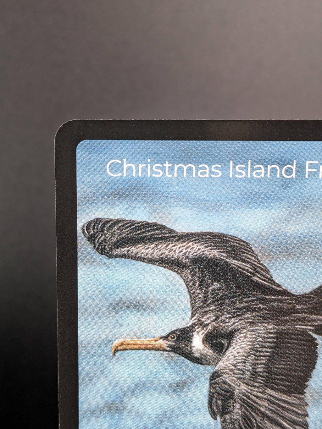 Christmas Island Frigatebird — Birds Full Art #28/130 | LIFE TCG | 1st Edition (Pop: 400)