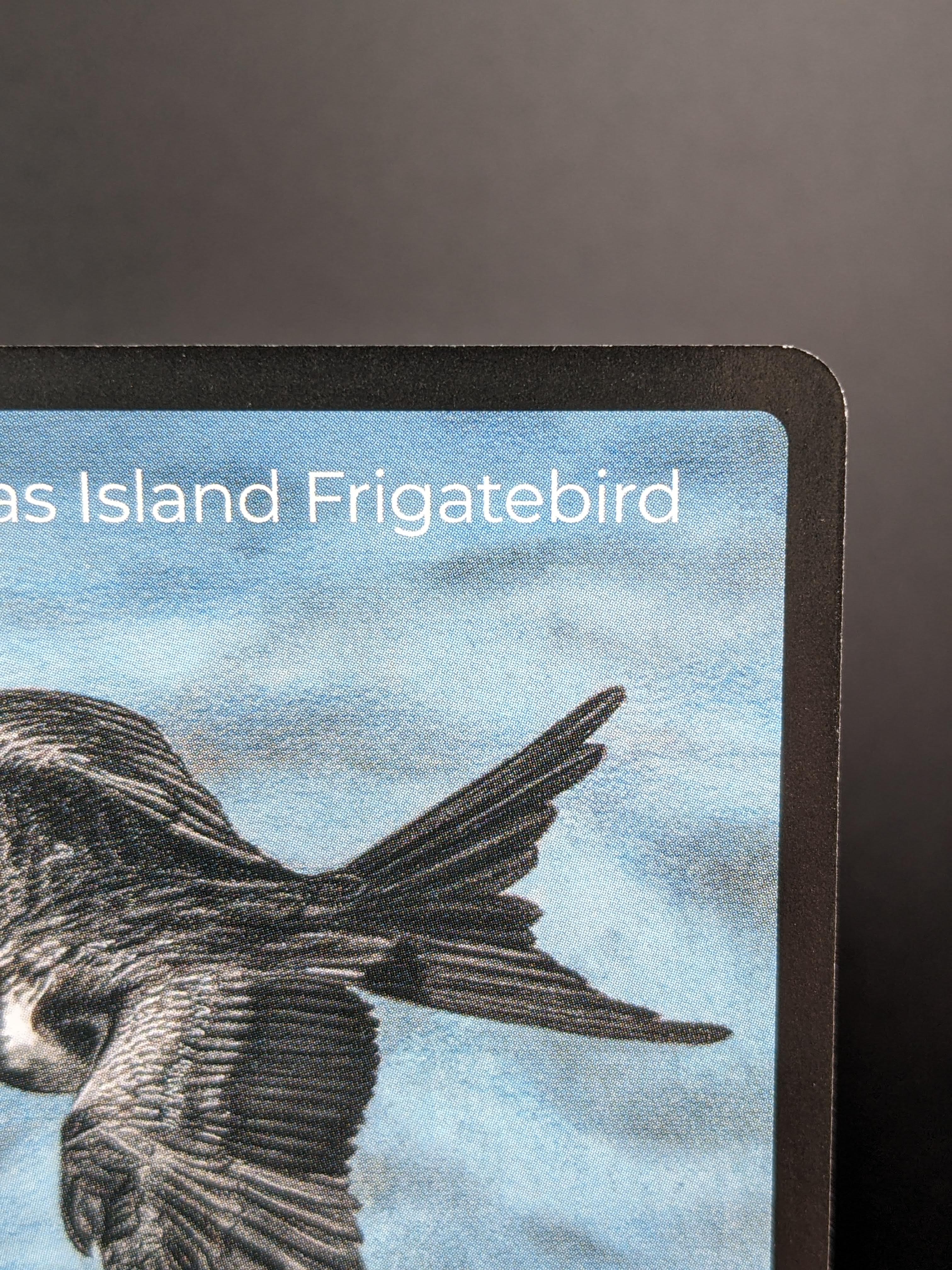 Christmas Island Frigatebird — Birds Full Art #28/130 | LIFE TCG | 1st Edition (Pop: 400)