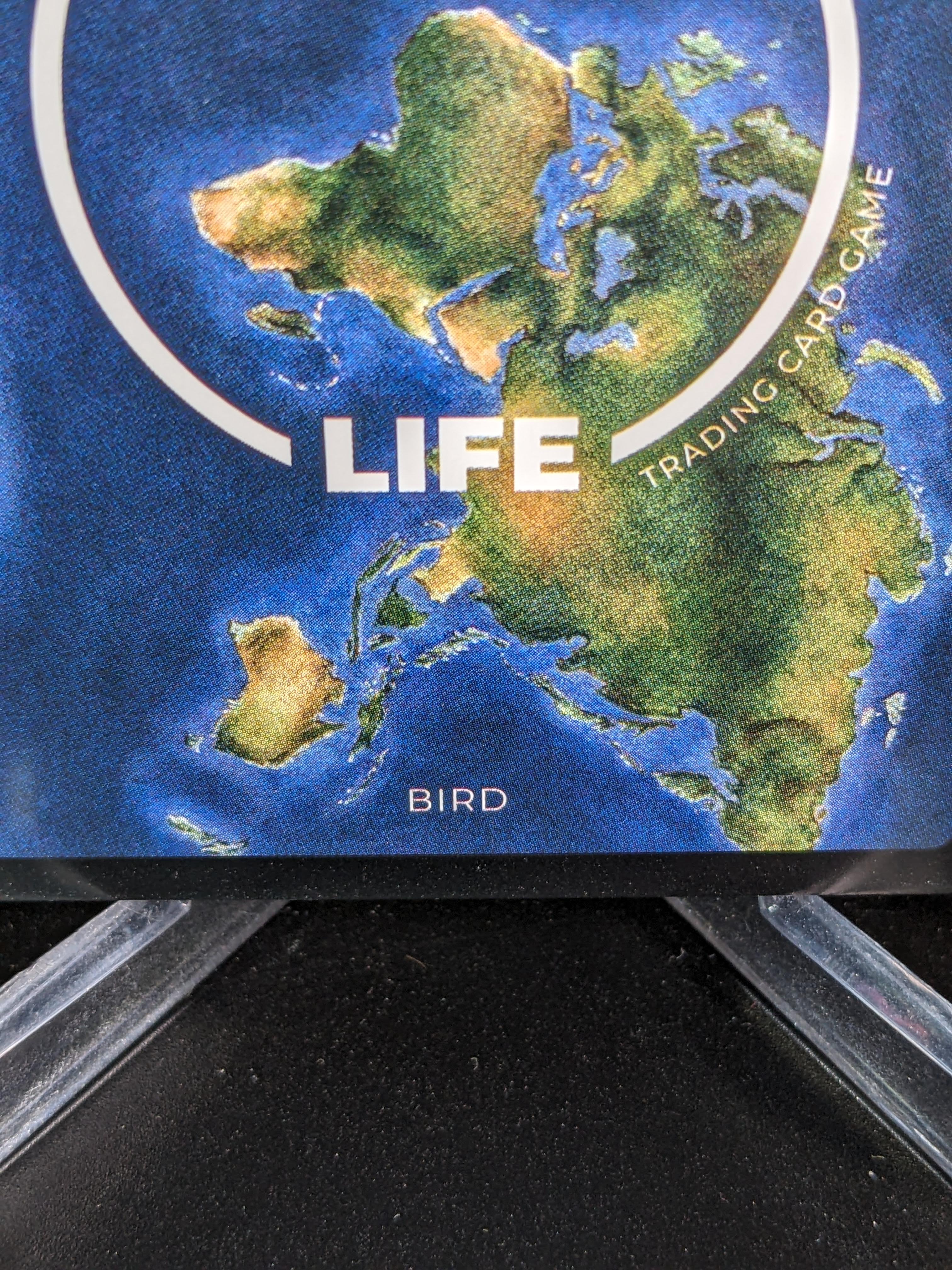 Christmas Island Frigatebird — Birds Full Art #28/130 | LIFE TCG | 1st Edition (Pop: 400)