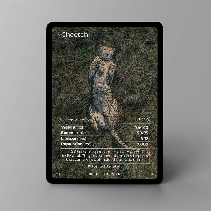 Photography Mammals Choose Your Card! — Photo #1-#3 | LIFE TCG | Raw card only