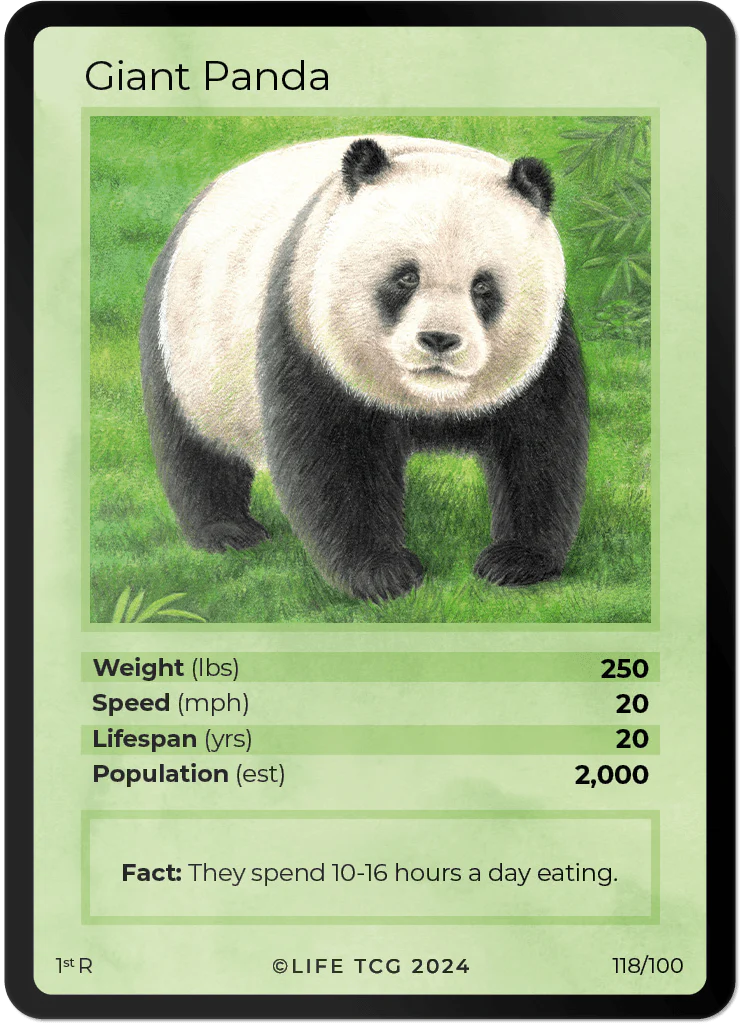 Life TCG Giant Panda Rare #118/100 - Only 2,000 cards printed! - NM