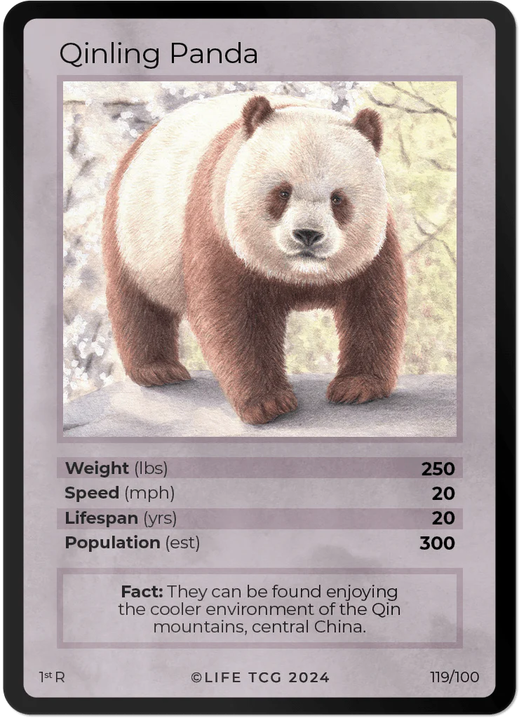 Life TCG Qinling Panda Rare #119/100 - Only 2,000 cards printed! - NM