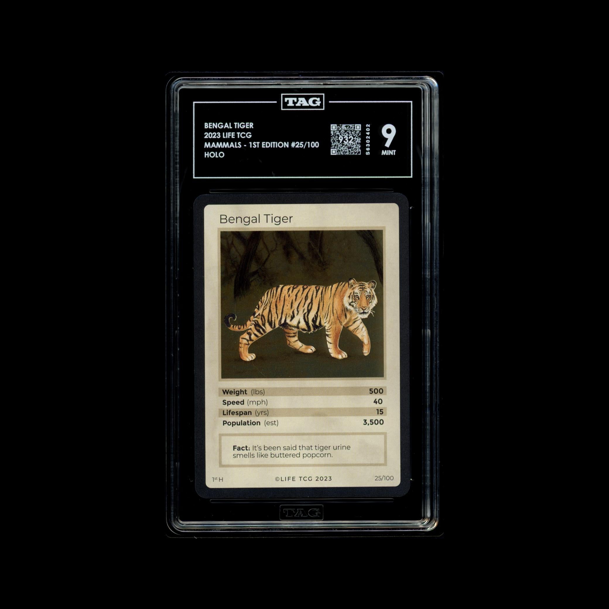 Bengal Tiger #25/100 - TAG 9 MINT | LIFE TCG | Mammals 1st Edition | Holo