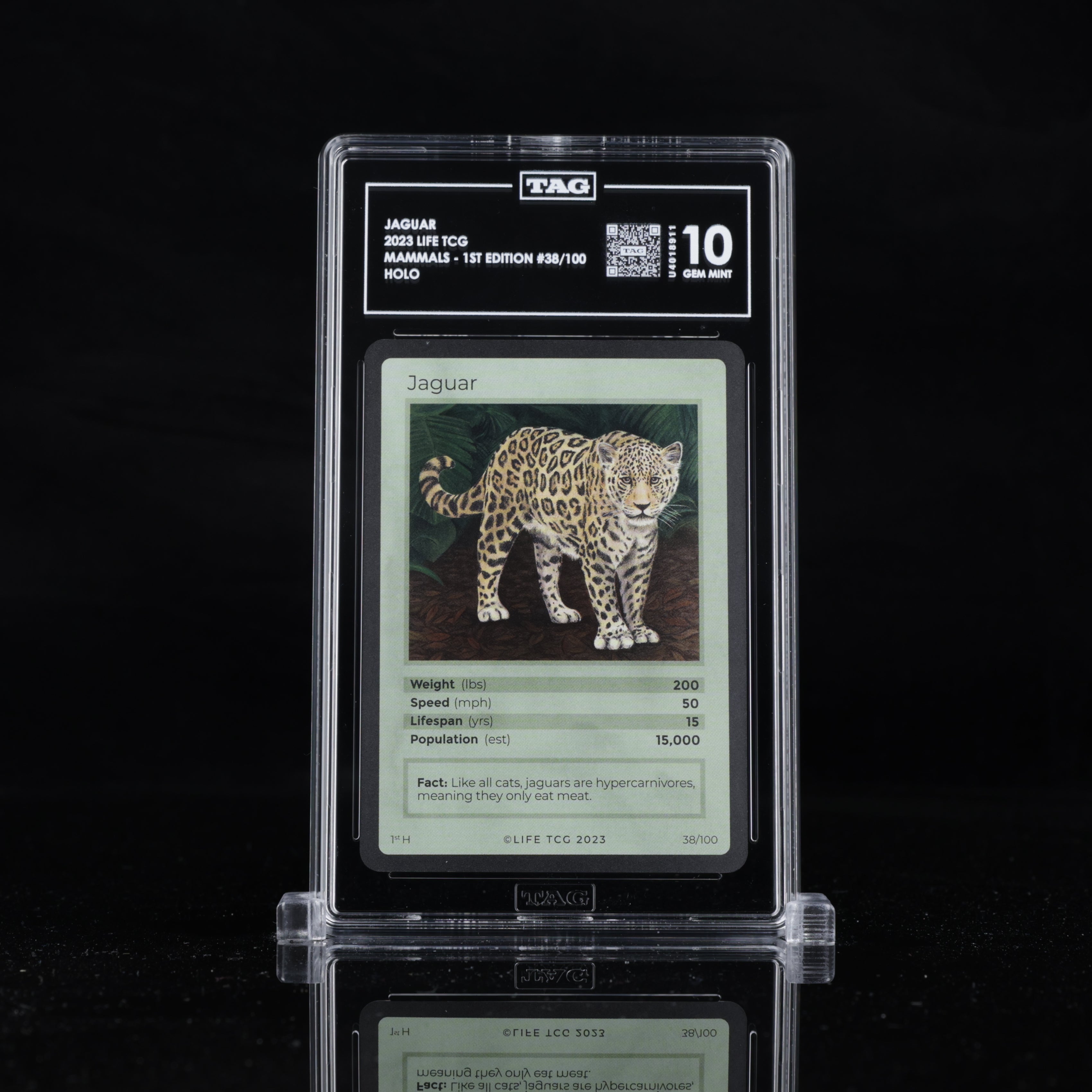 Jaguar - TAG 10 GEM MINT | Life TCG | Mammals 1st Edition | Holo