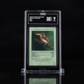 South Philippine Dwarf-Kingfisher - TAG 9 MINT | Life TCG | Birds | Holo