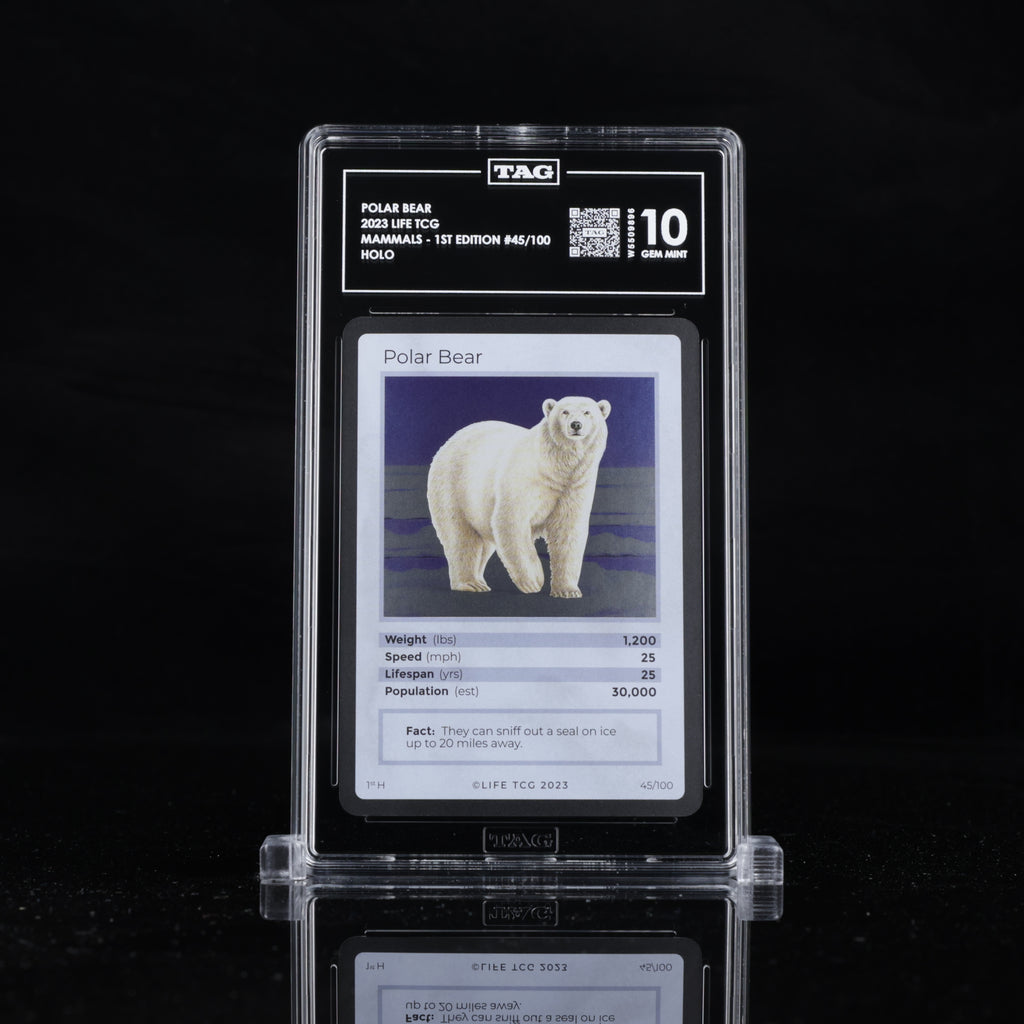 Polar Bear - TAG 10 GEM MINT | Life TCG | Mammals 1st Edition | Holo