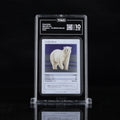 Polar Bear - TAG 10 GEM MINT | Life TCG | Mammals 1st Edition | Holo