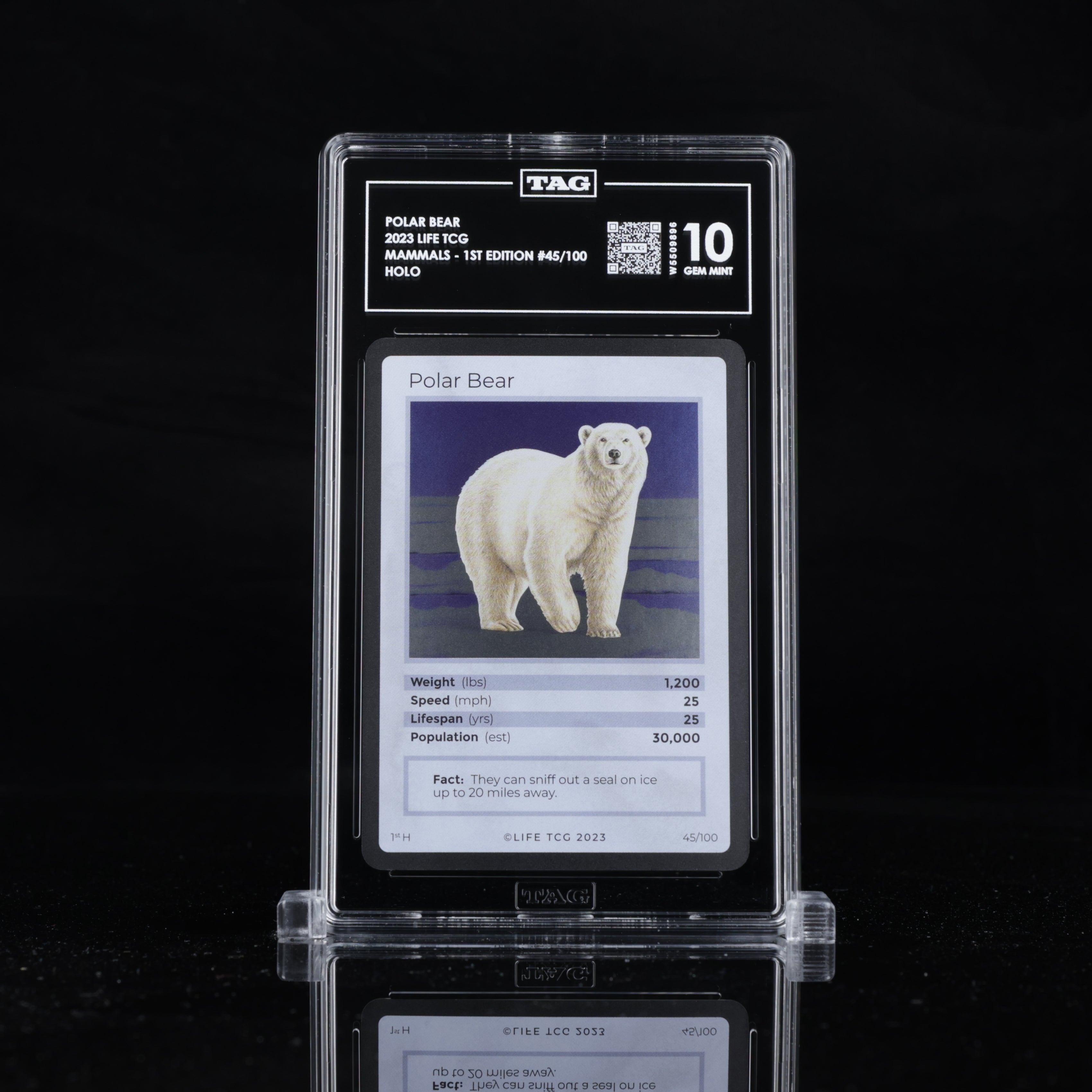 Polar Bear - TAG 10 GEM MINT | Life TCG | Mammals 1st Edition | Holo